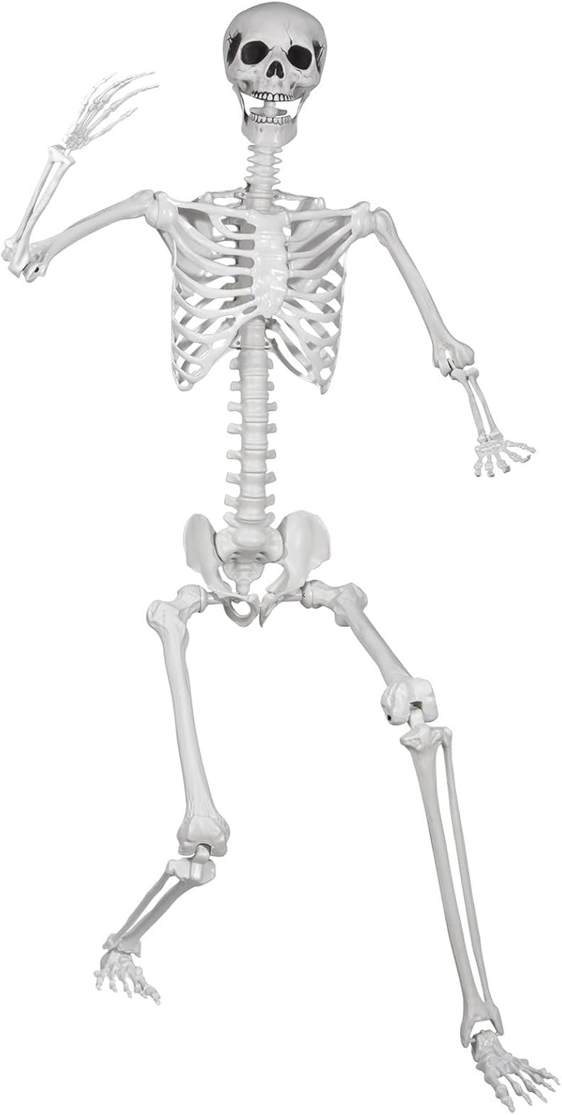 5.9Ft/180Cm Posable Halloween Skeleton, Life Size Skeleton Bones with Movable Jo