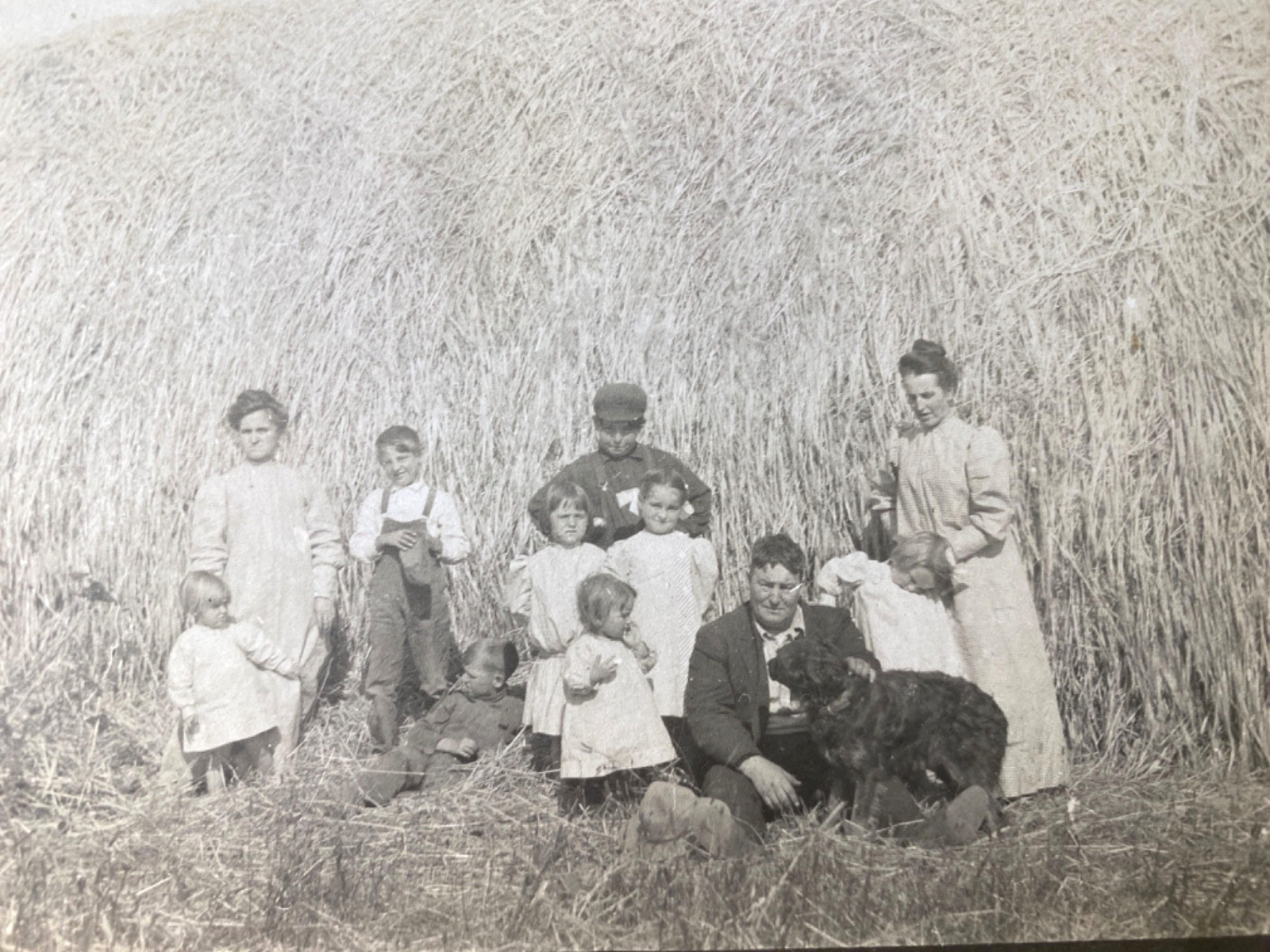 1910s RPPC - WILLAMETTE VALLEY, OREGON real photo postcard WHEAT FARMERS FAMILY 1910s RPPC - WILLAMETTE VALLEY, OREGON real photo postcard WHEAT FARMERS FAMILY