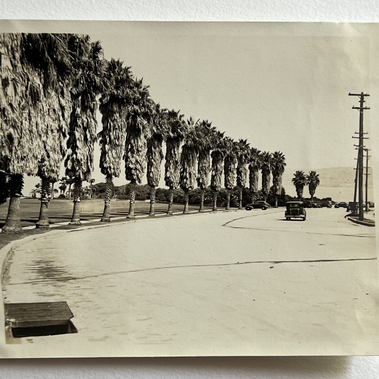 Vintage Snapshot Photograph Street View Historic 30s Car Palm Trees La Jolla CA