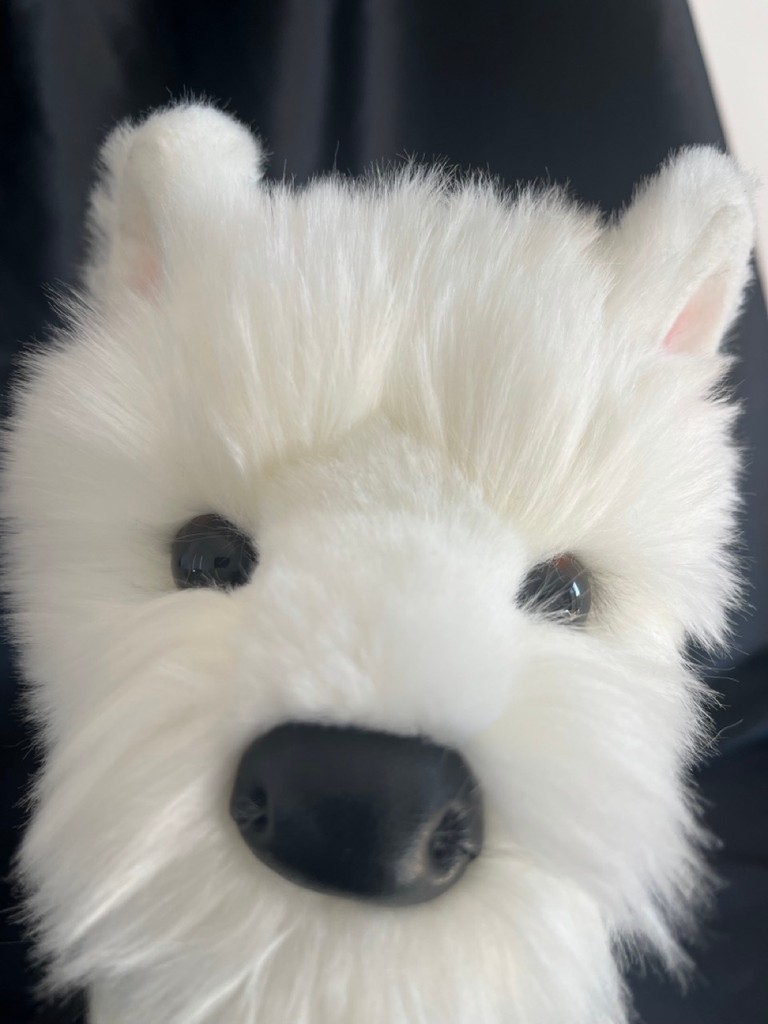 Douglas Romeo Westie Plush West Highland White Terrier Retired long hair cuddle