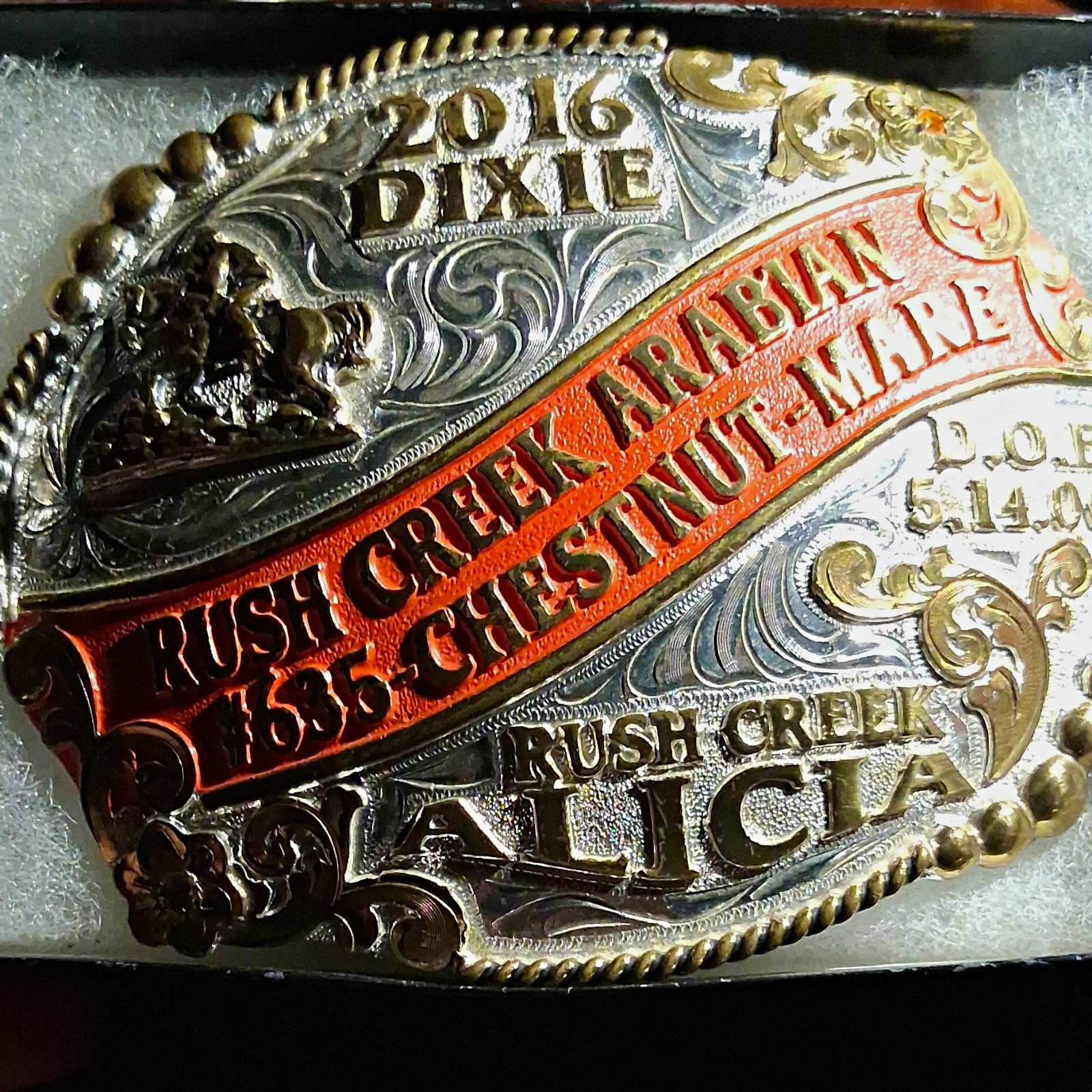 Molly's Custom Silver 2016 Dixie Rush Creek Arabian Chestnut Mare Belt Buckle