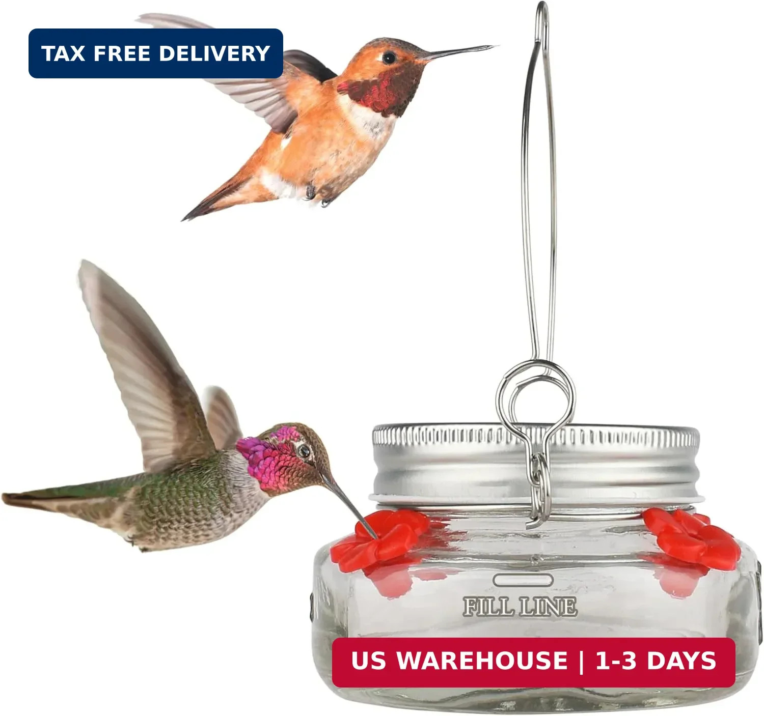 Nature\'s Way Vintage Glass Jar Hanging Hummingbird Feeder, 6 oz Nectar Capacity,