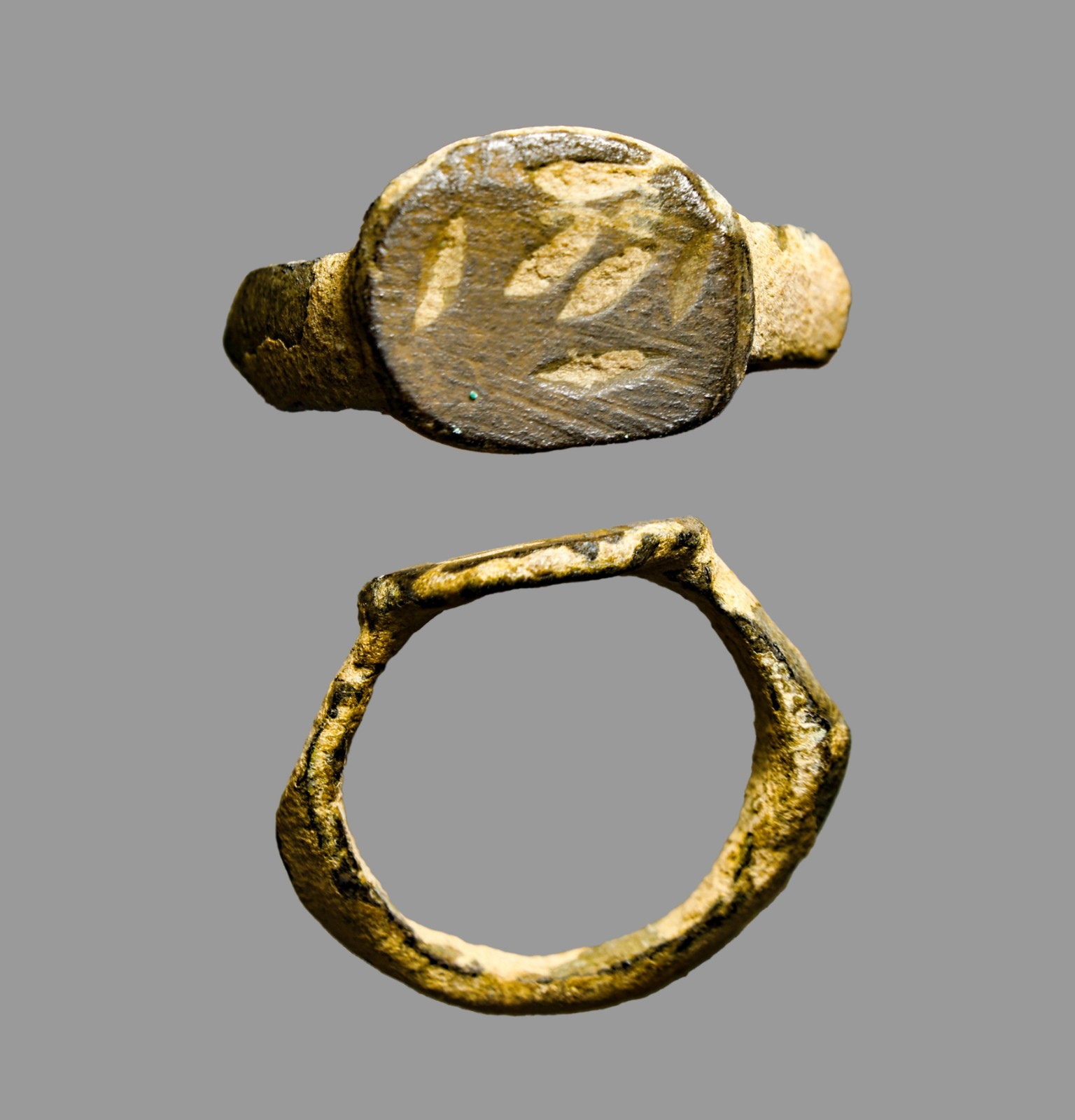 Antiquity 300BC Guaranteed Authentic Hellenistic Bronze Palm Branch Ring wCOA