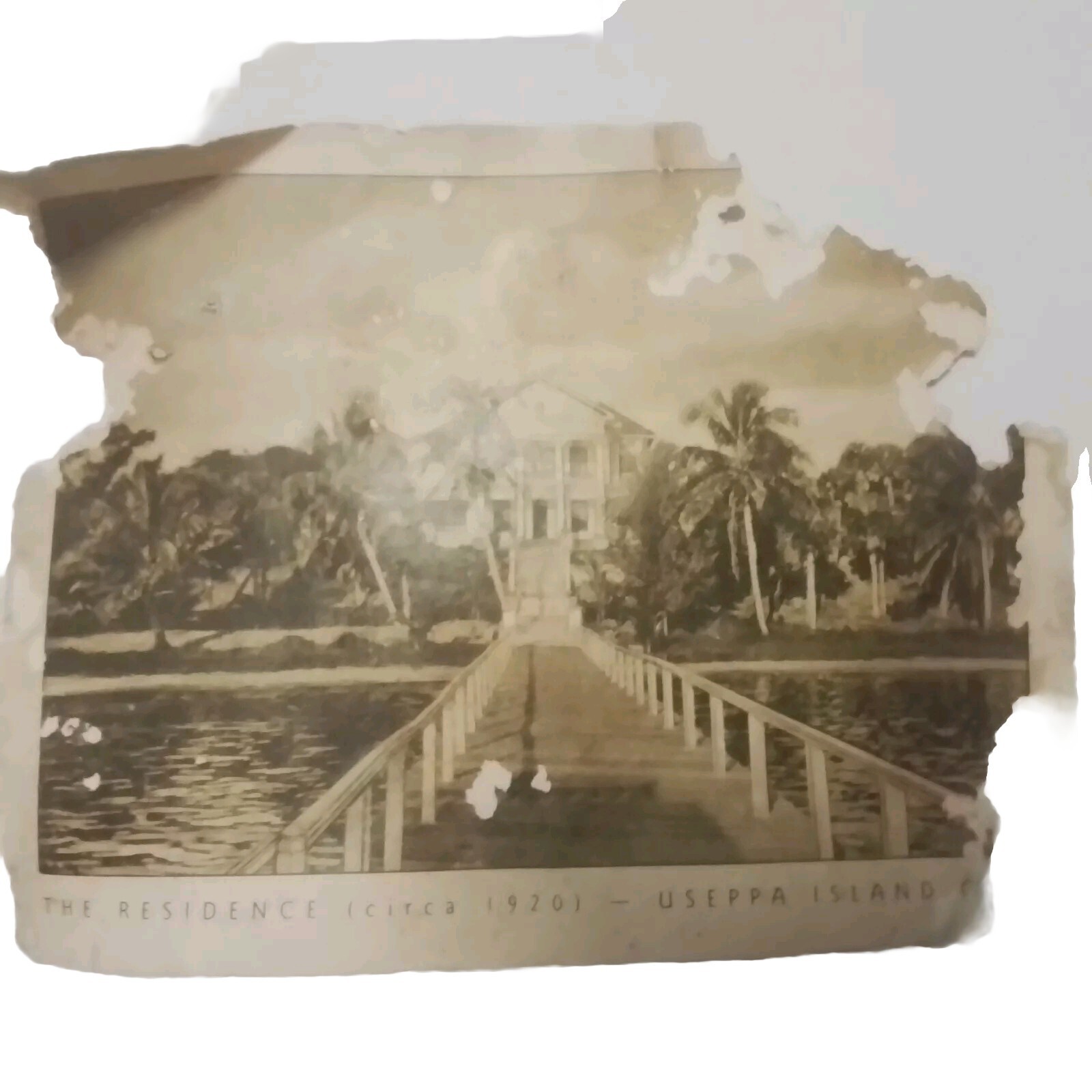 Vintage Postcard Of Useppa Island Ephemera 