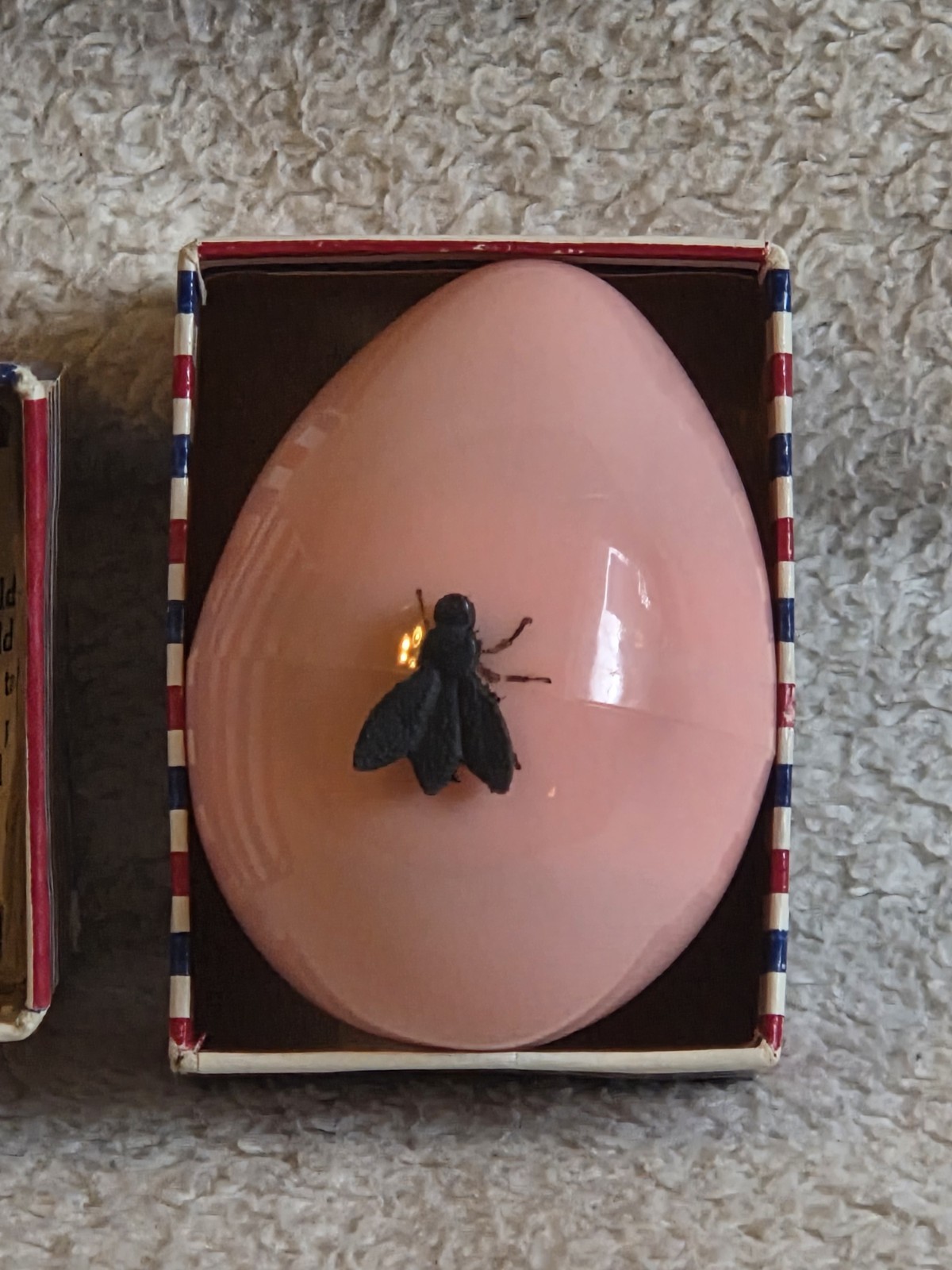 VTG Celluloid Fly on Pink Egg Retractable Sewin Tape Measure Novelty Collectible