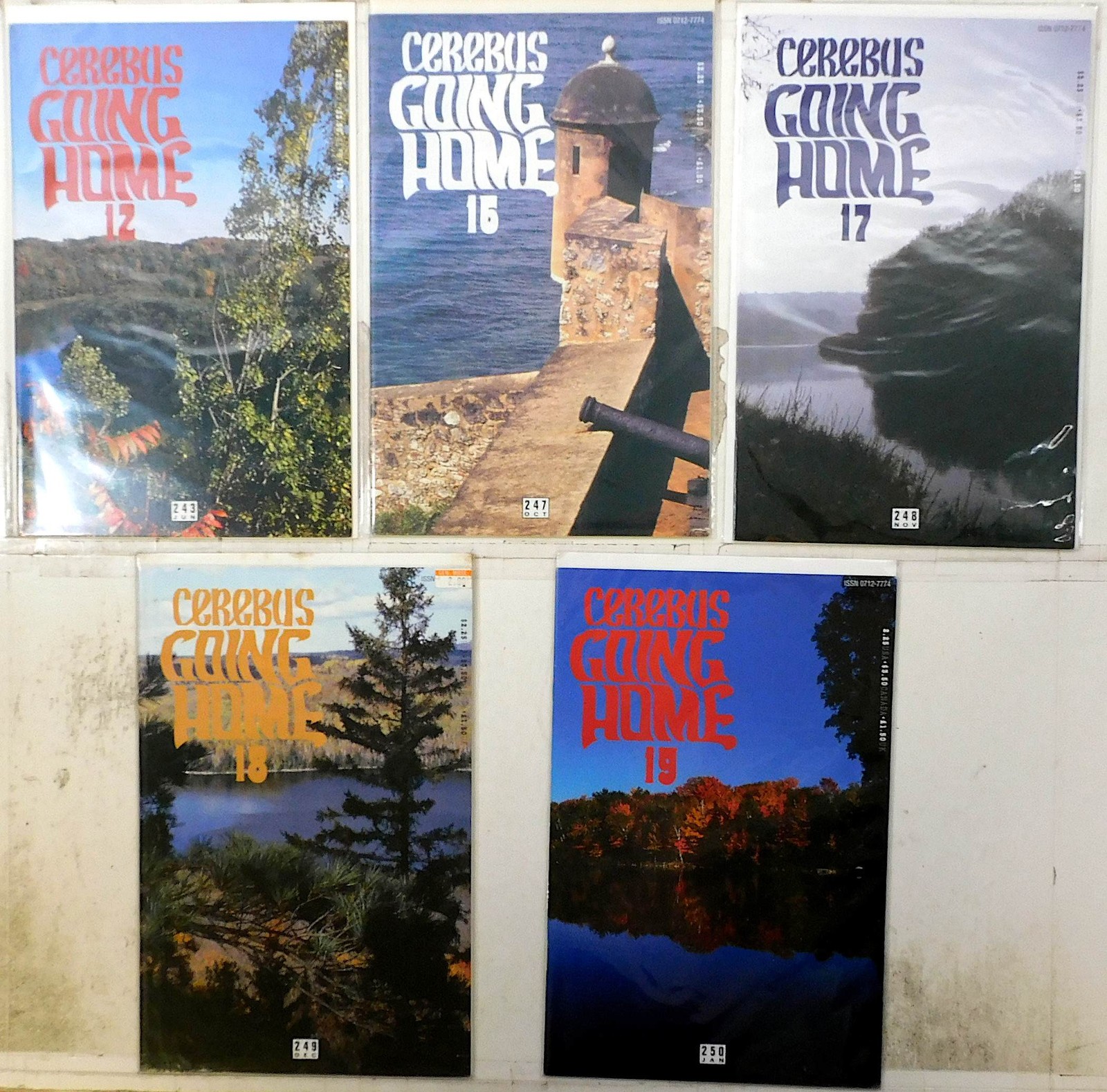 Cerebus Lot of 5 #243, 247, 248, 249, 250 (1999) Aardvark-Vanaheim Comic Books Cerebus Lot of 5 #243, 247, 248, 249, 250 (1999) Aardvark-Vanaheim Comic Books