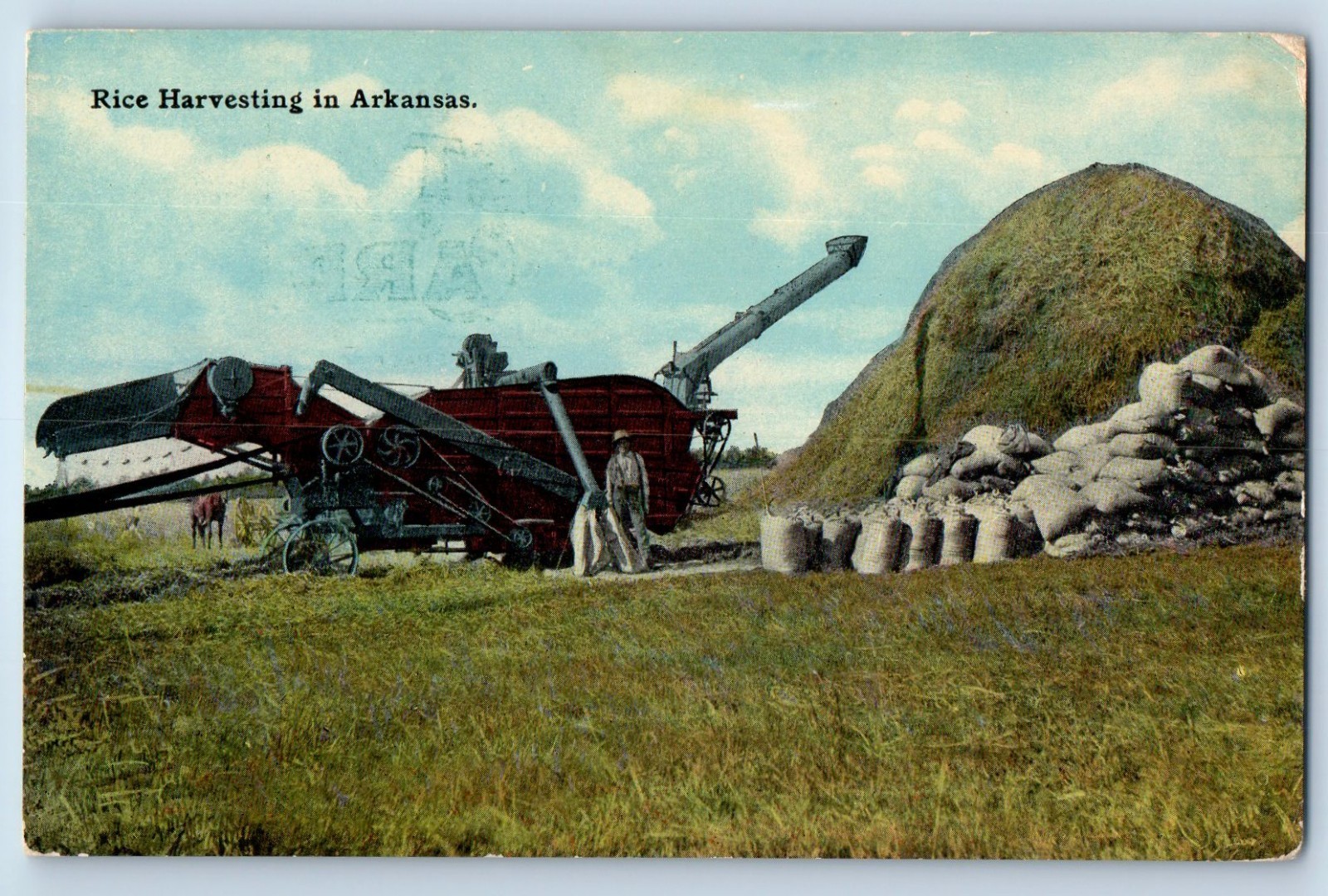 c1910\'s Rice Harvesting In Arkansas Farming Scene Field Antique Postcard