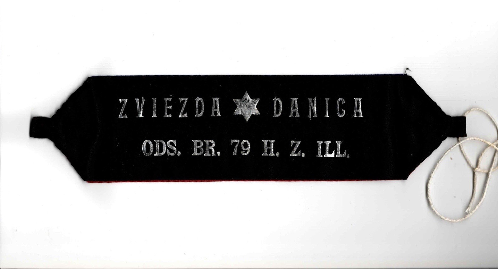 c. 1910 Croatian American Zvijezda Danica Odsjek 79 Illinois IL Fraternal Ribbon