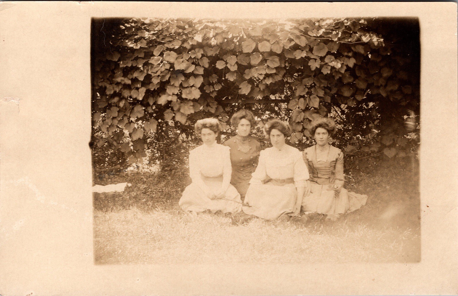 Postcard Real Photo RPPC Women Sitting on Ground in Front of Vines