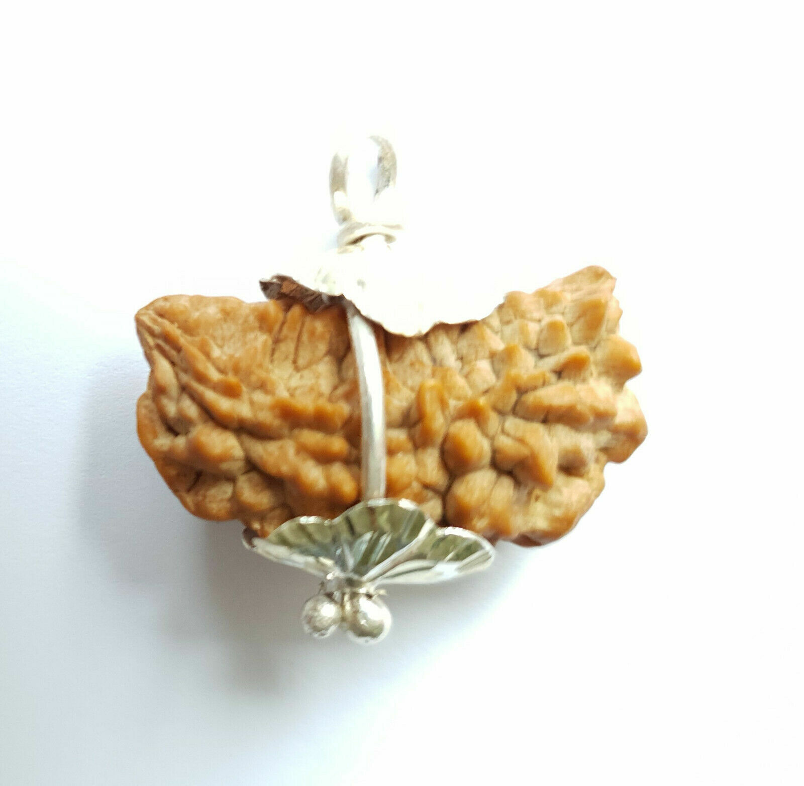 1 One Mukhi Face Nepali Rudraksha Bead for tranquillity & better concentration