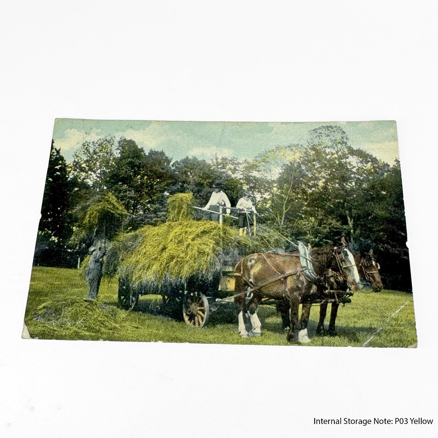 1919 Antique Postcard Horse Drawn Hay Wagon Farm Scene Rural Life Tinted 1919 Antique Postcard Horse Drawn Hay Wagon Farm Scene Rural Life Tinted