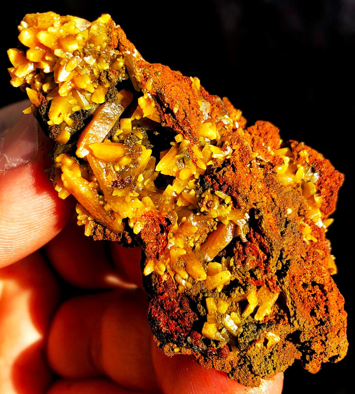 188CT Gemmy Natural Fantastic Yellow Wulfenite Crystal Flower Specimen ie2966