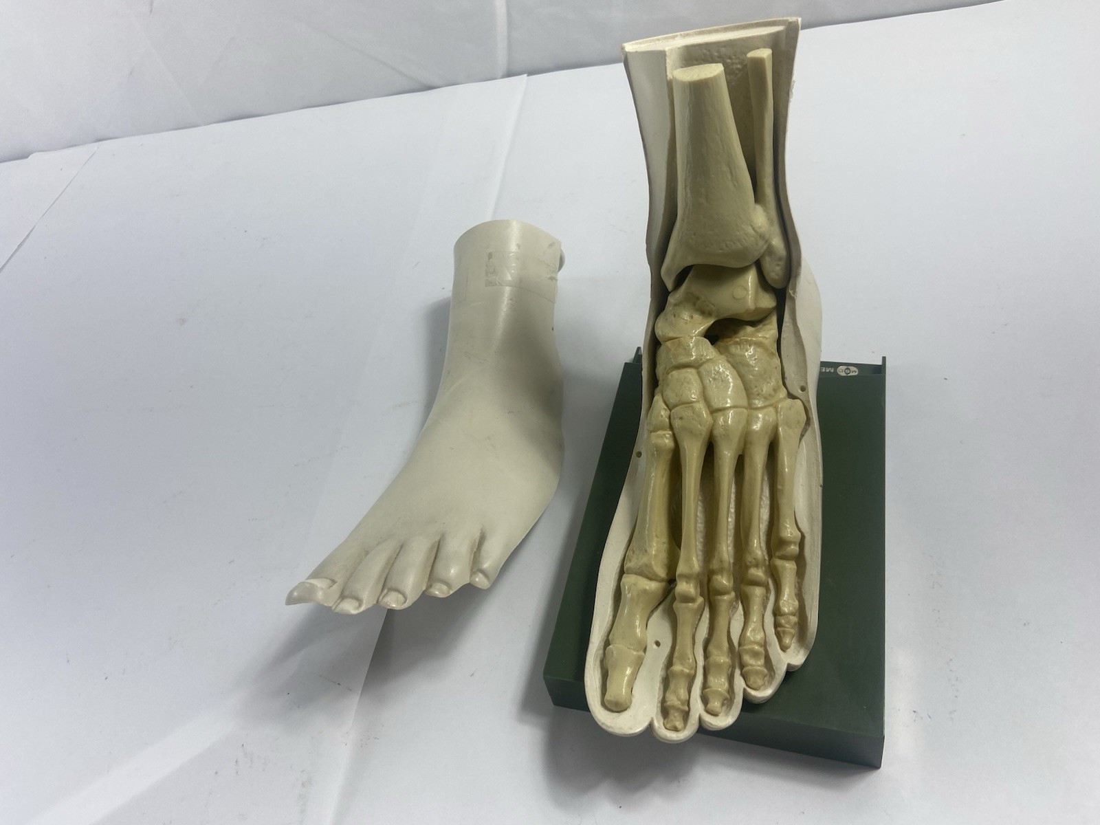 Indocin Advertising Display Foot Anatomical Store Model Vintage Indocin Advertising Display Foot Anatomical Store Model Vintage