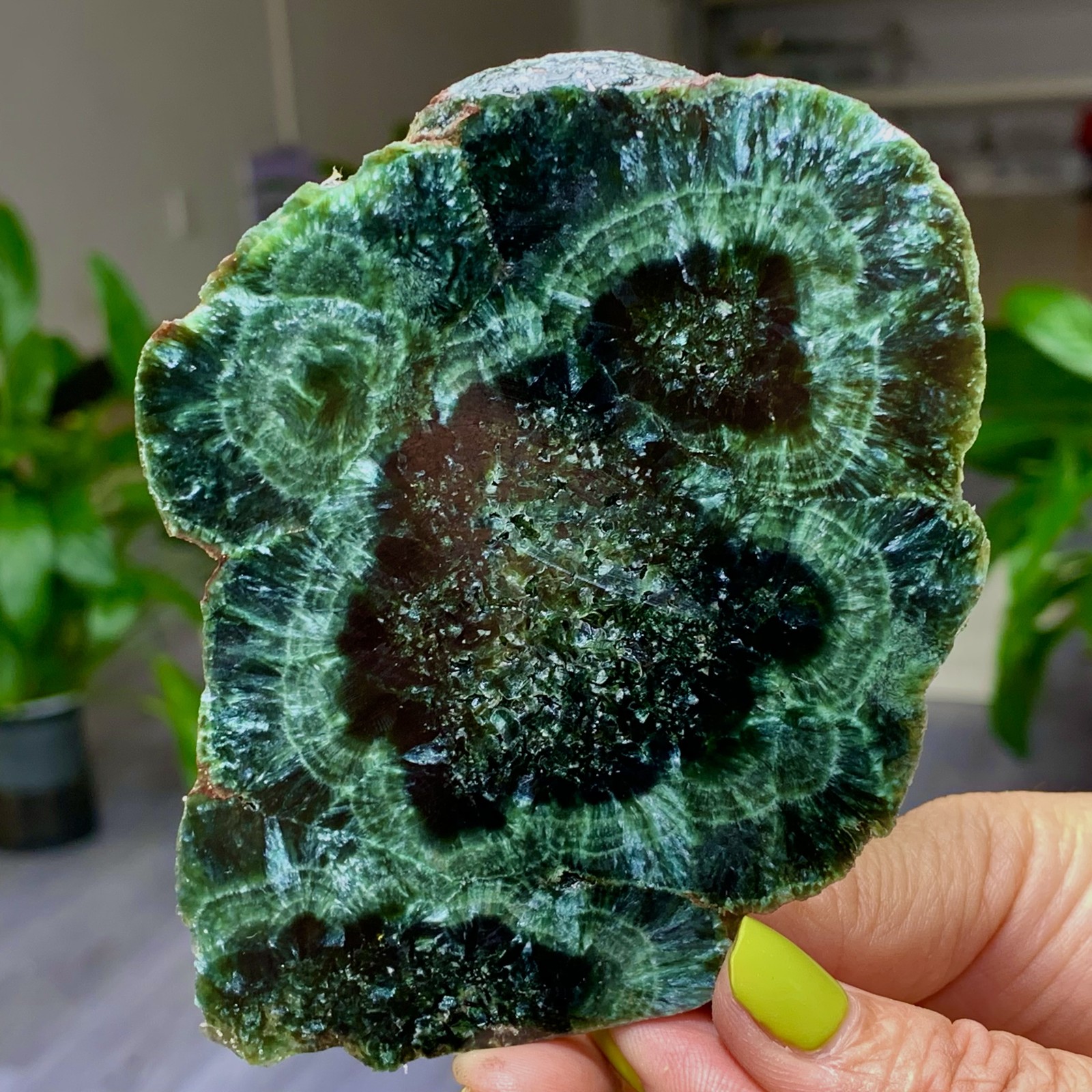 92G Natural Seraphinite Crystal Sample Flake Treatment - Museum Grade
