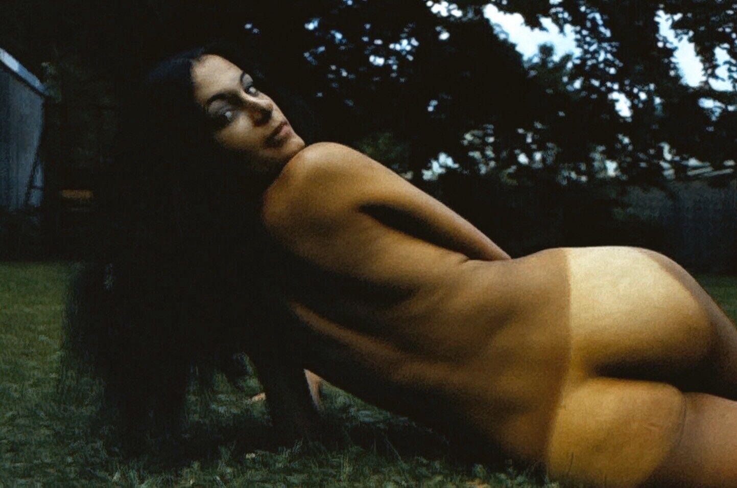 Leora  Nude Model 1960s Peter Basch Kodachrome Camera Transparency