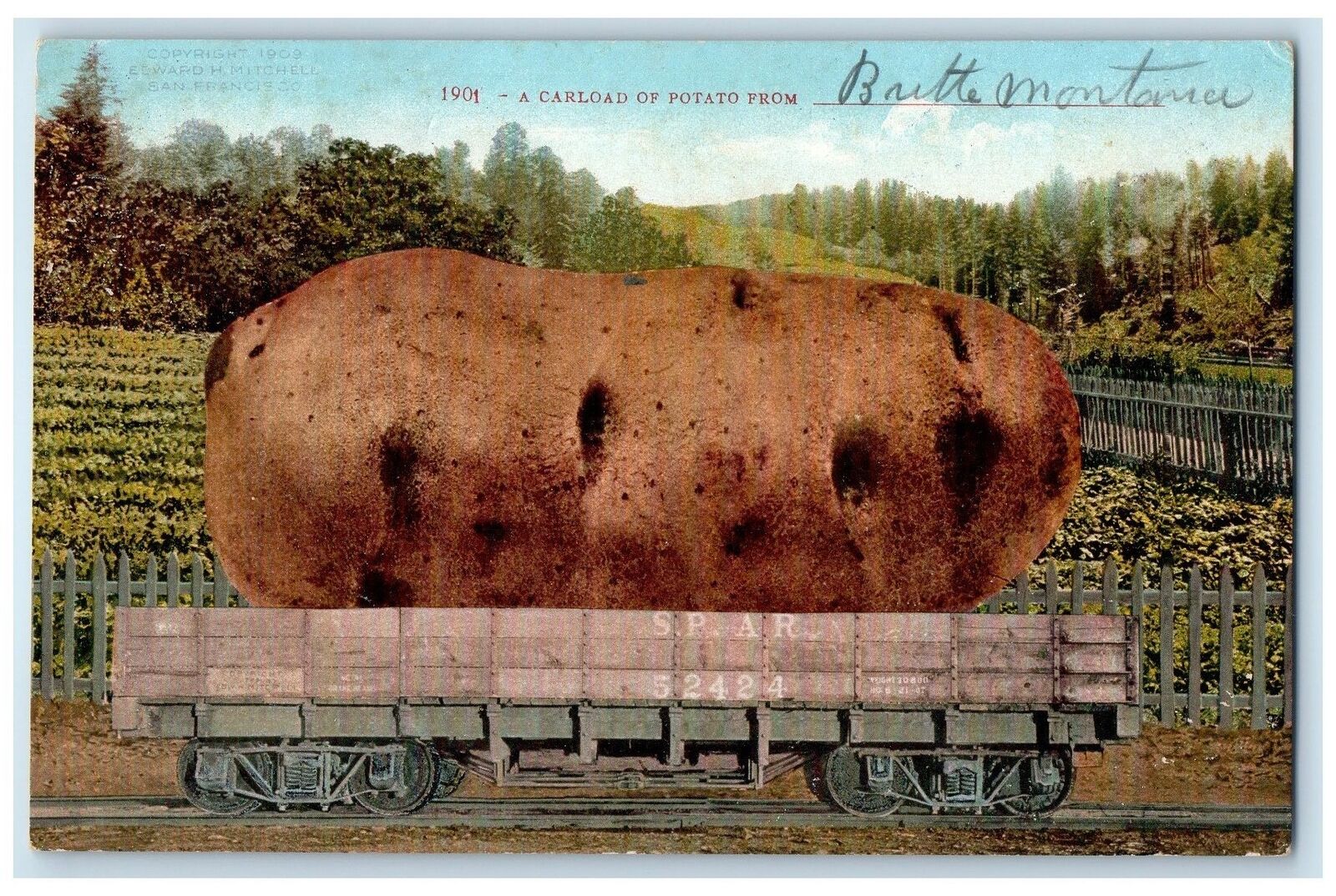 c1910s A Carload Of Exaggerated Potato From Brutte Montana MT Posted Postcard