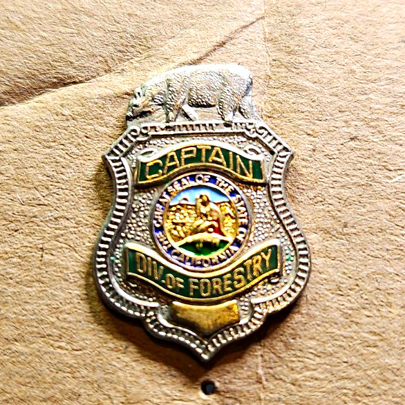 Captain Police Div. of Forestry Badge Style Metal Pinback Pin