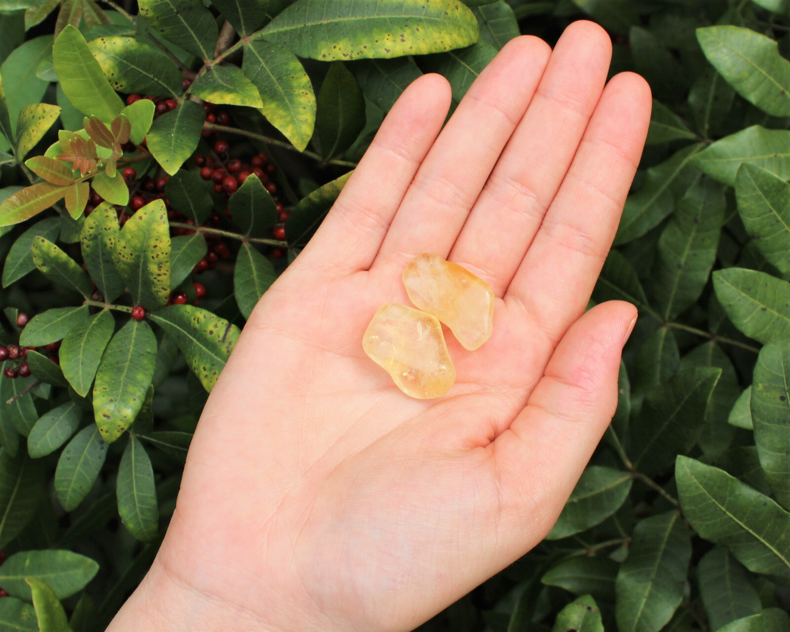 2 Citrine Tumbled Stones: Polished Crystals 2 Citrine Tumbled Stones: Polished Crystals