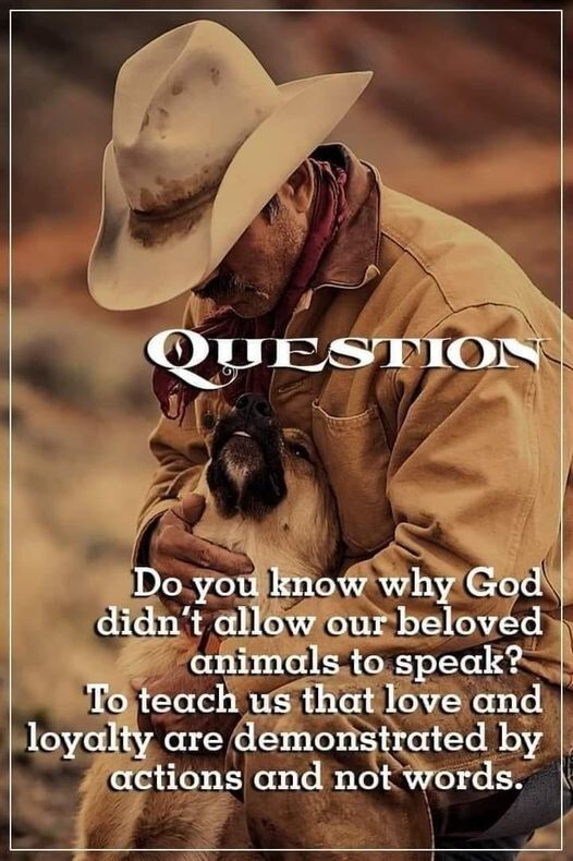 Inspirational dog animal quote refrigerator magnet  3 1/2