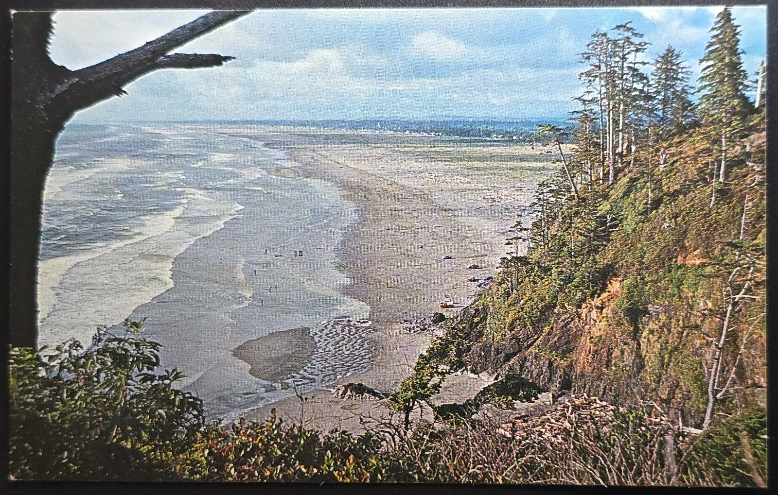 Long Beach WA View from Belleview Park Postcard O’Neill Photo