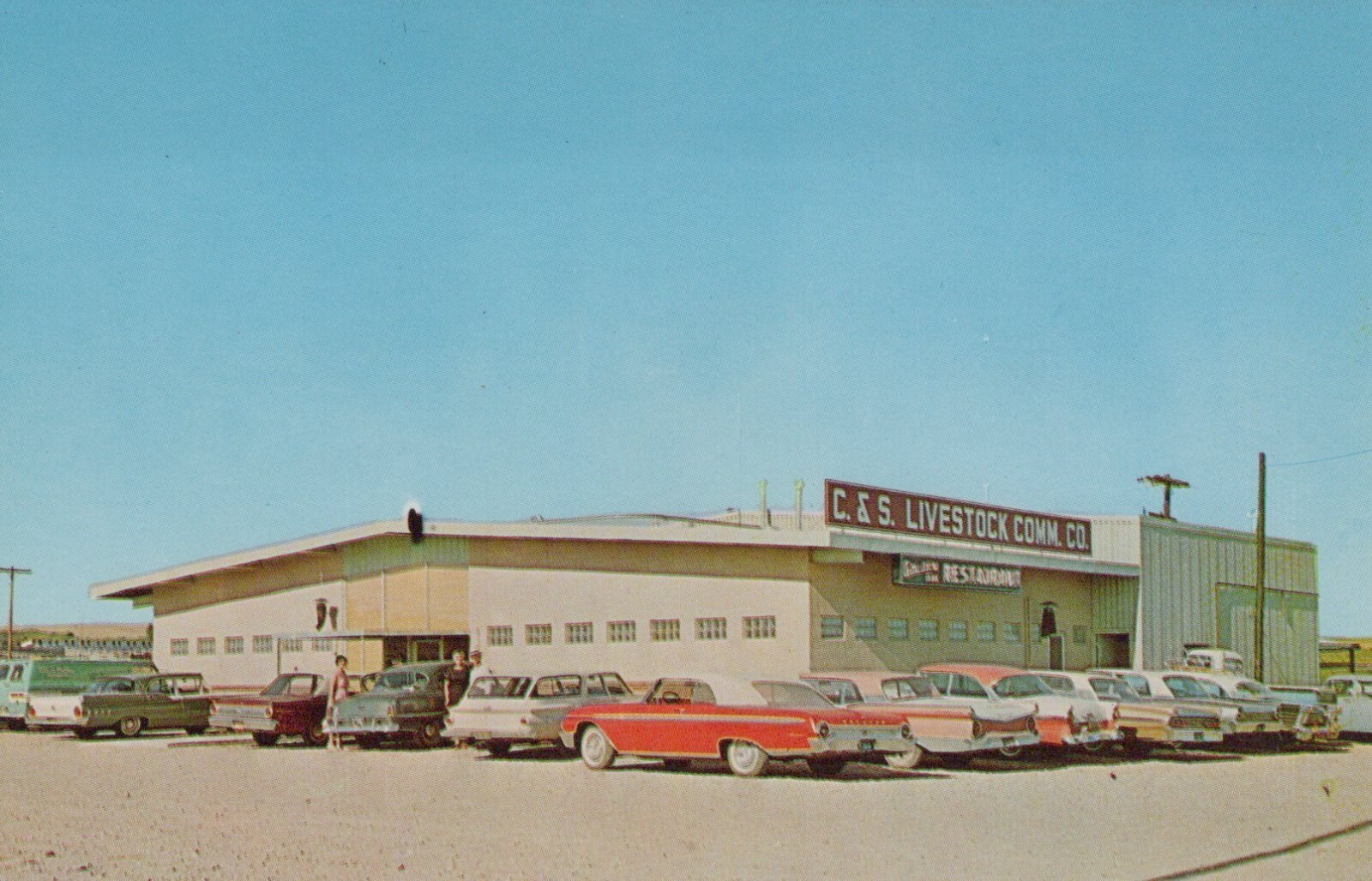 C S Livestock Commission Co Restaurant Norton KS 1950-1960s Autos postcard KP5