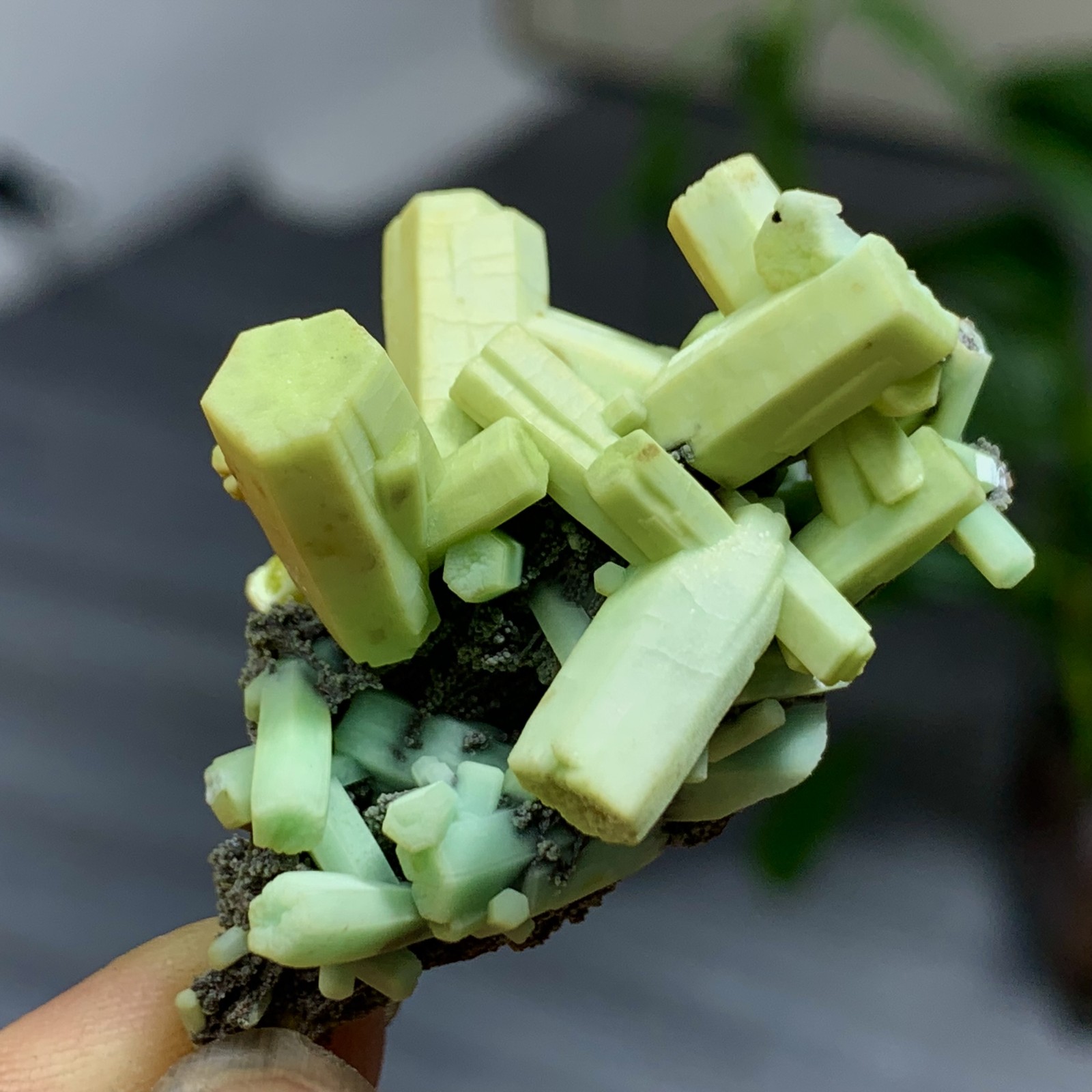 27G Rare Natural two-color green plumbogummite mineral crystal specimen