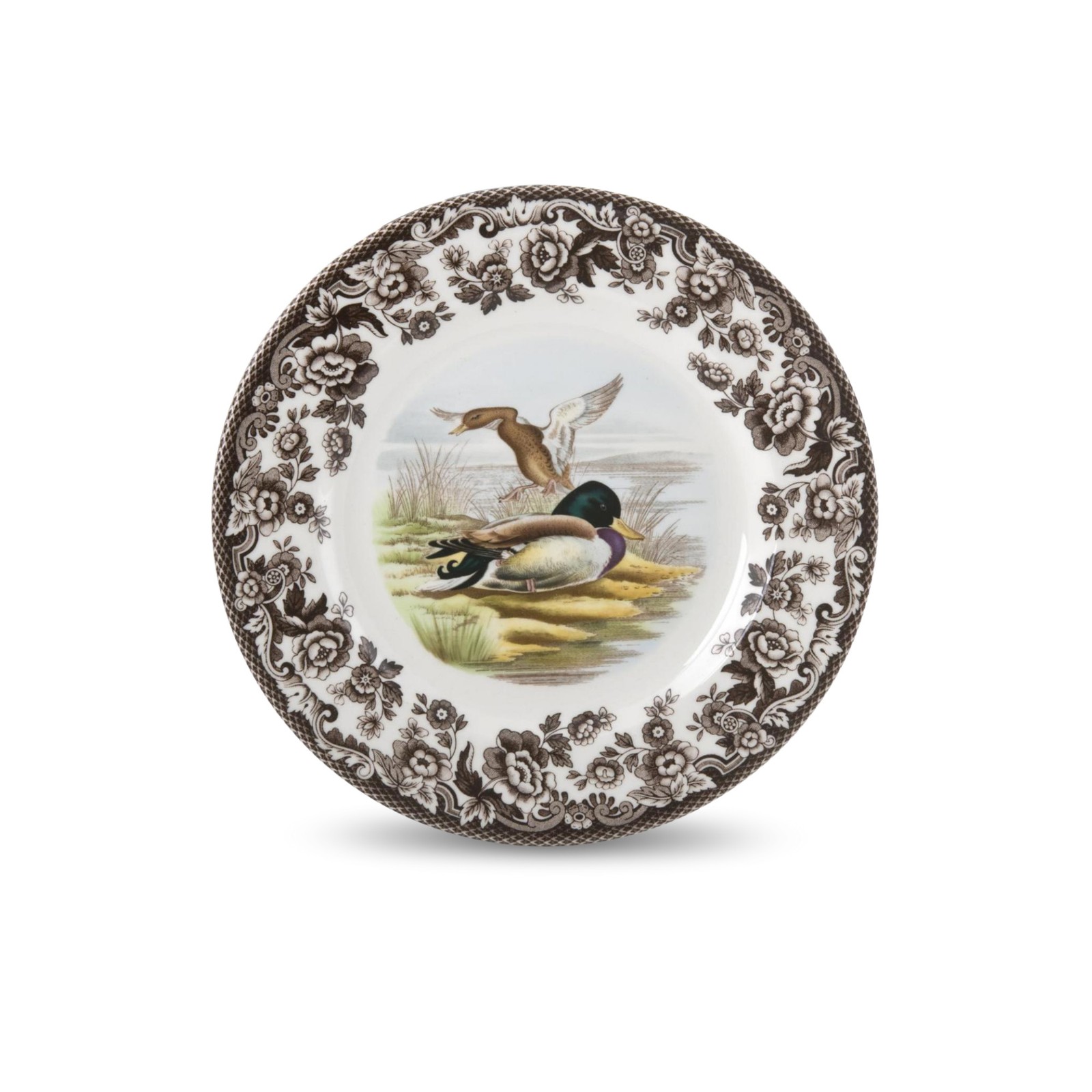 Spode Woodland Mallard Wildlife 8\ Spode Woodland Mallard Wildlife 8\