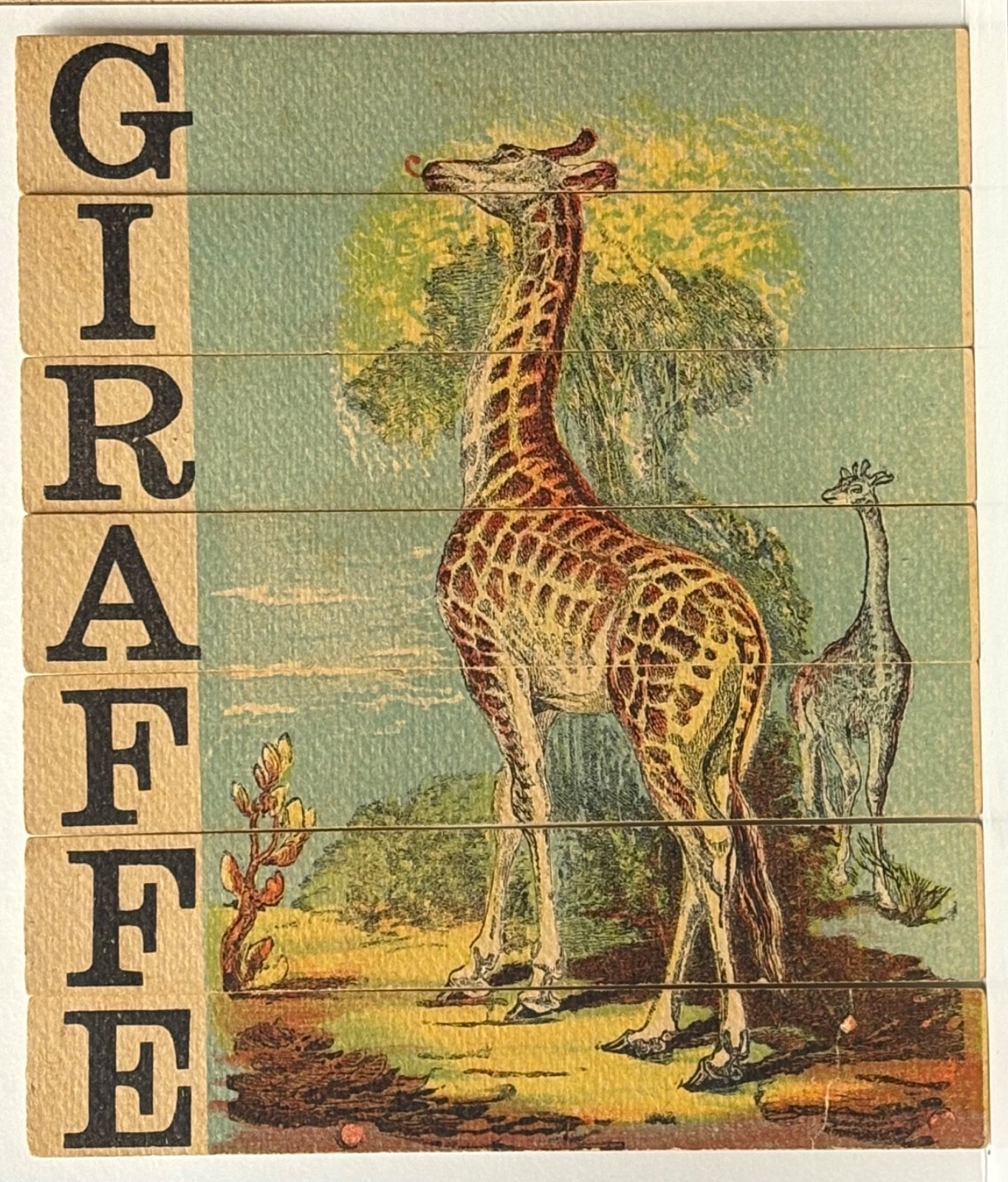 1880’S VICTORIAN DISSECTED SLAT PUZZLE GIRAFFE~GIRAFFE EATS FOLIAGE FROM TREE