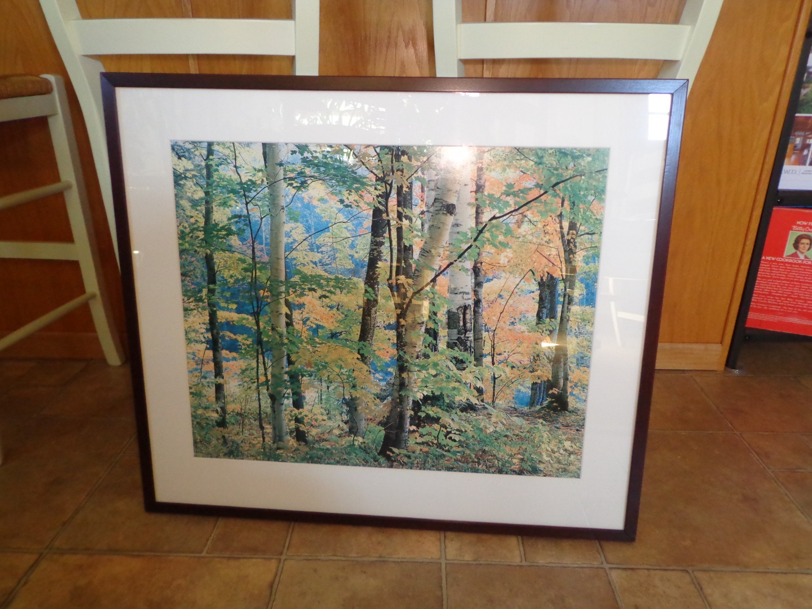Framed/Matted Photography Wood Trees Leaves Turning Color Back Hanger/Hooks Framed/Matted Photography Wood Trees Leaves Turning Color Back Hanger/Hooks