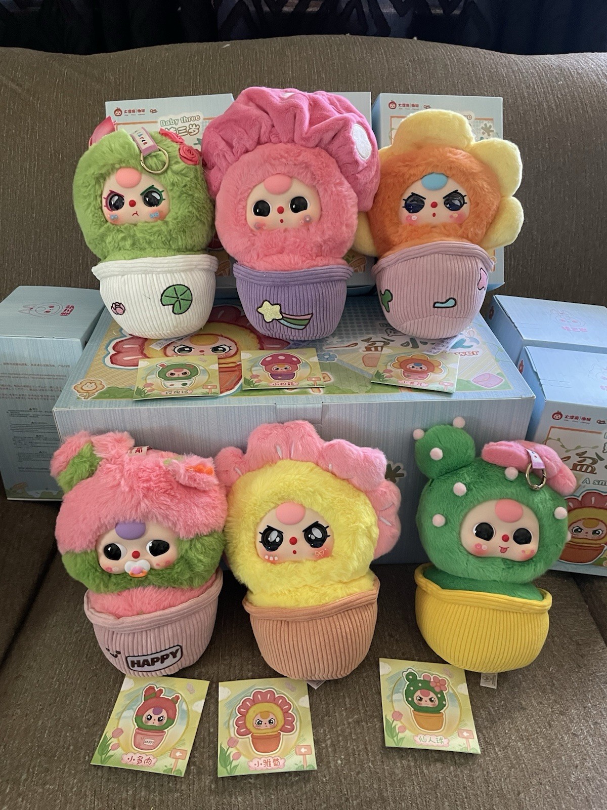 Baby Three A Small Flower FULL CASE 6 Confirmed Boxes New In Box