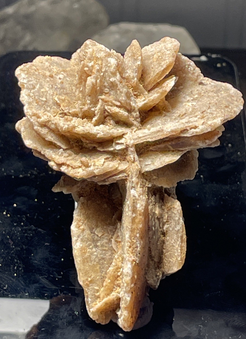 GORGEOUS SMALL CABINET SELENITE DESERT ROSE SAHARA DESERT, MOROCCO