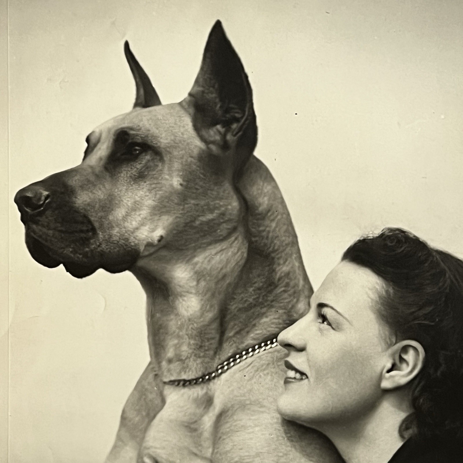 Vintage Studio Photograph Beautiful Woman ID Emilie Romaine Great Dane Dog
