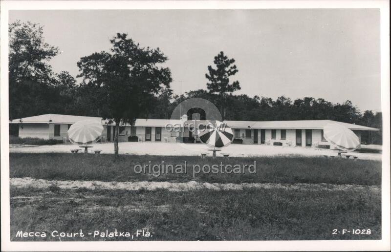 Palatka, Florida FL Mecca Court Cline 2-F-1028 Original Vintage Real Photo RPPC