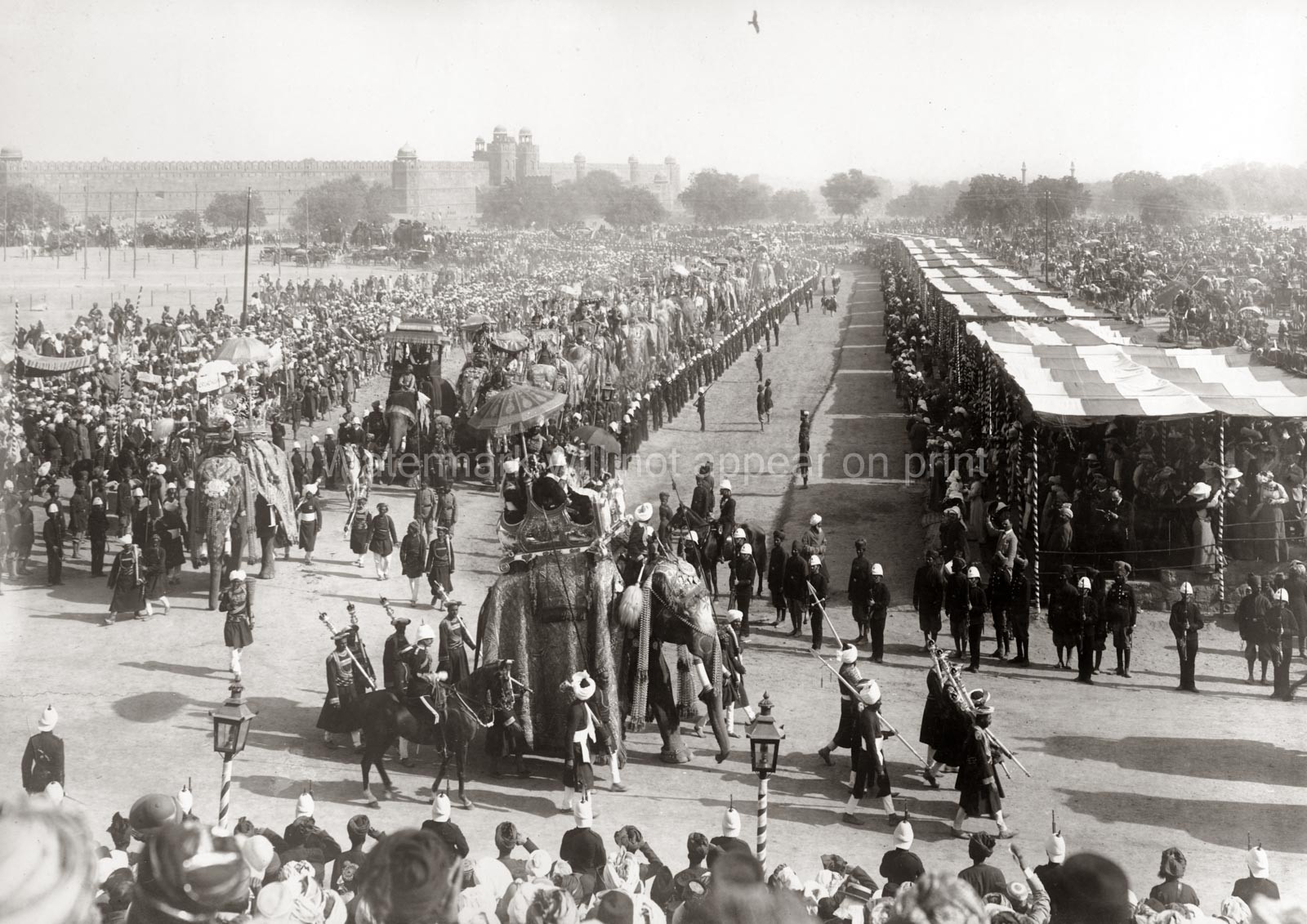 India Delhi Durbar Ceremony Procession Elephants Red Fort Vtg. Photo 19thC.