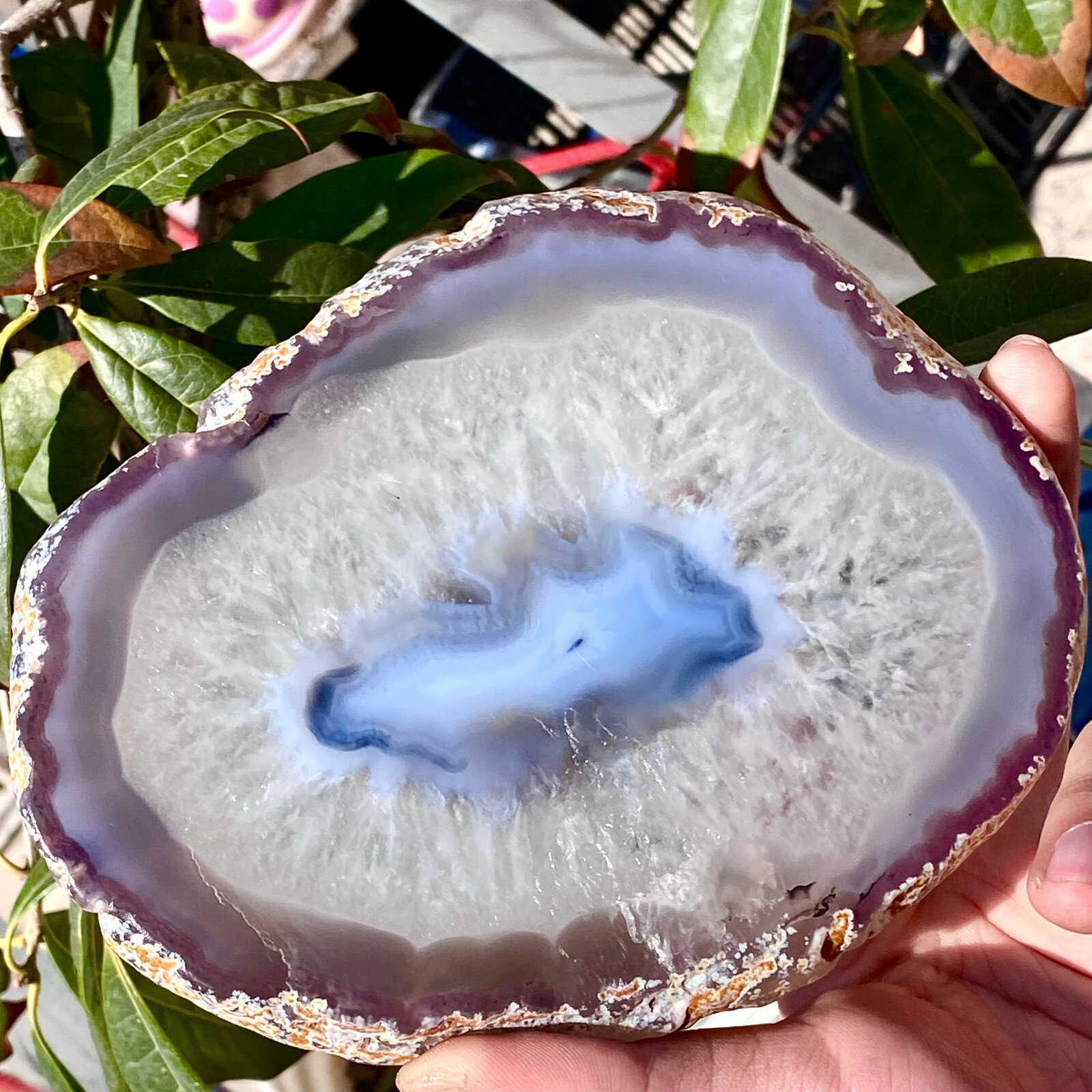 1.1LB  Bonsai Suiseki-Natural Cut agate into flakes Stone-Rare Stunning Viewing