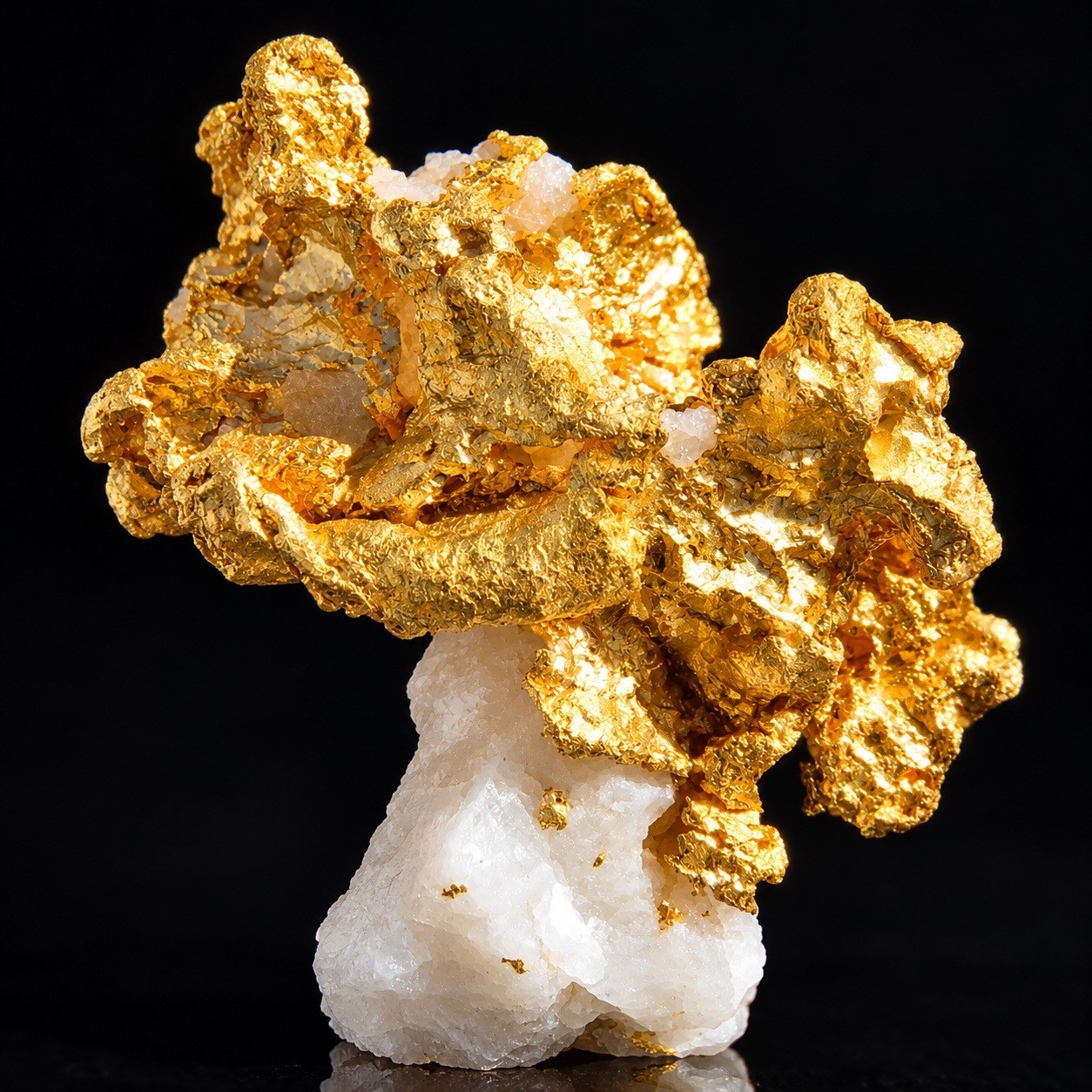 Native Precious Gold Minerals On Matrix Pilbara, Western Australia