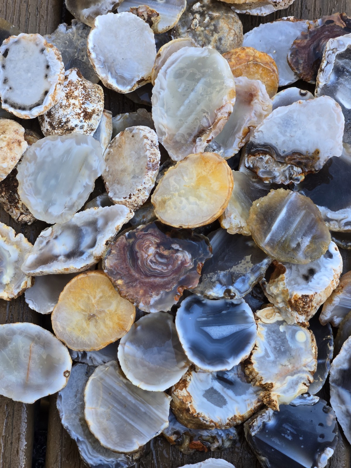 Oco Agate Geode Cut Halves and Slices - 1 Pound Lb - Solid Agate Tumbling Rough