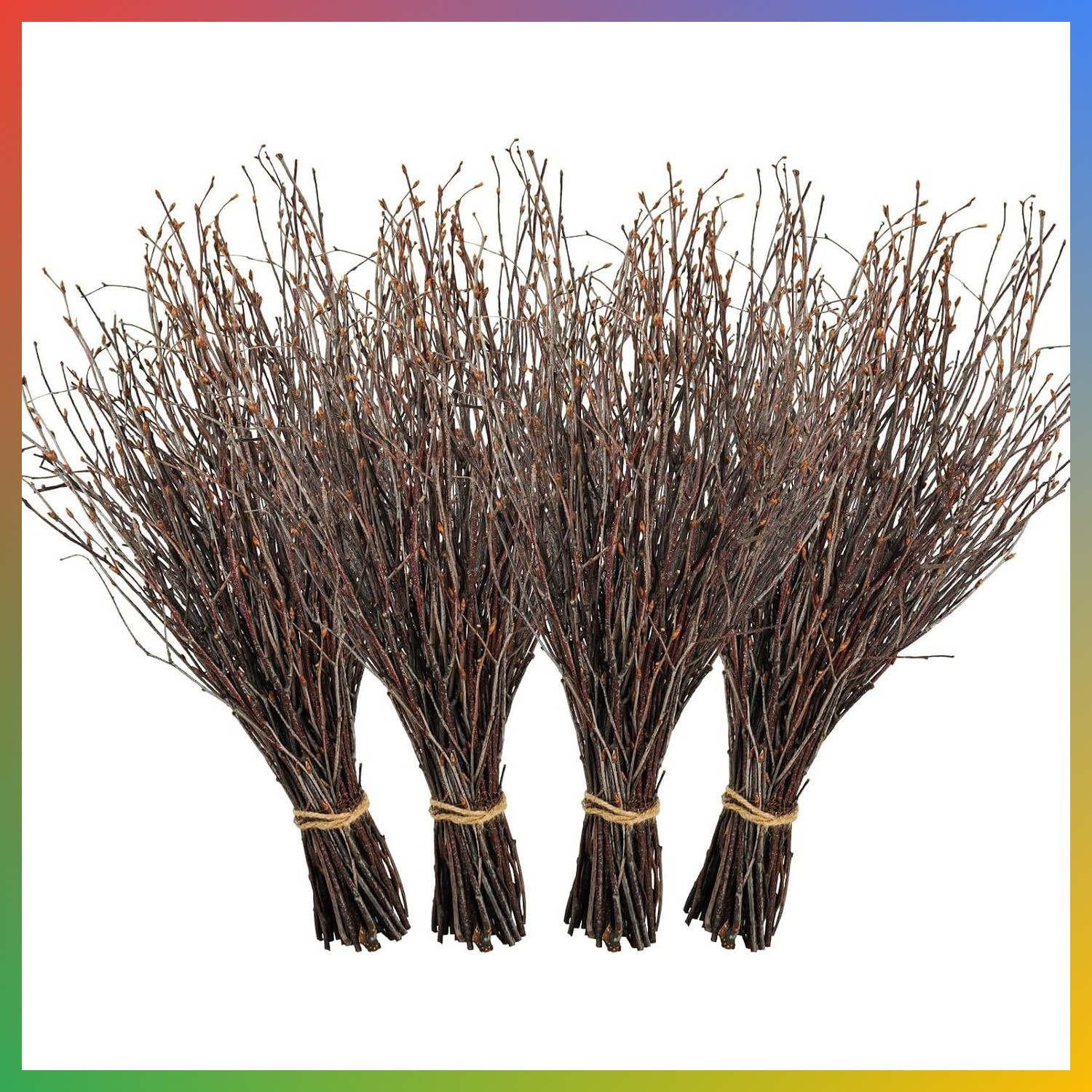 200pc Natural Dried Birch Branches 17 Inch Craft Vase Decor Medium 200pc Natural Dried Birch Branches 17 Inch Craft Vase Decor Medium