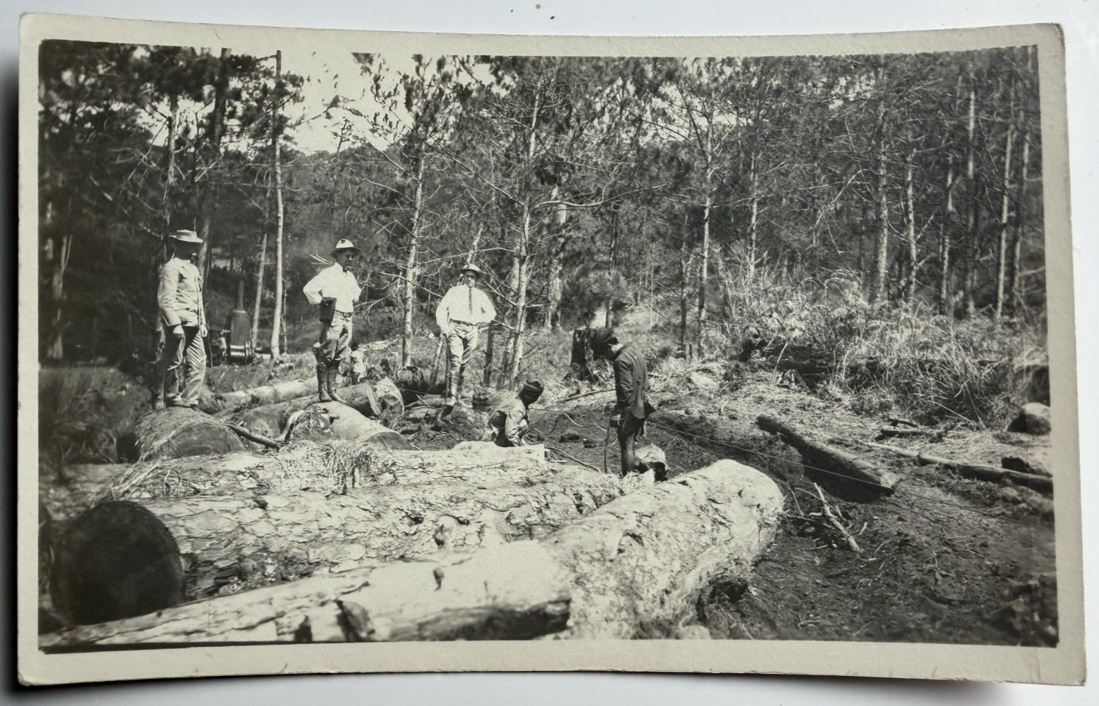 c1910s RPPC Logging Scene Lumber Occupational Forest Scene Workers Postcard 