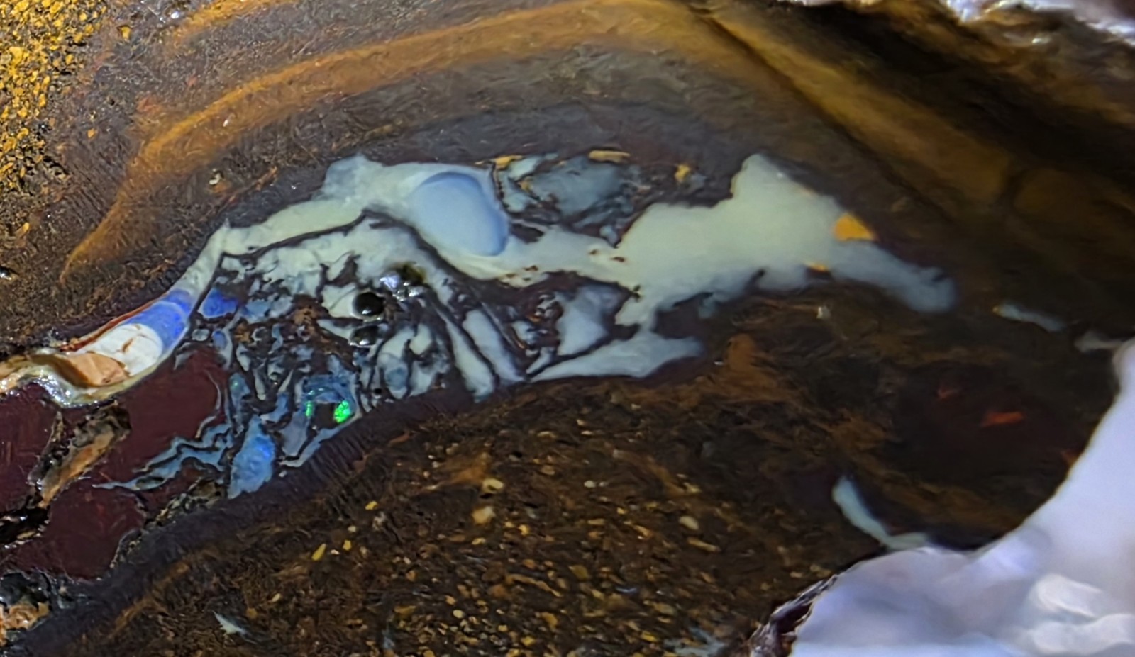 Australian Boulder opal rough Koroit 660 carats Australian Boulder opal rough Koroit 660 carats