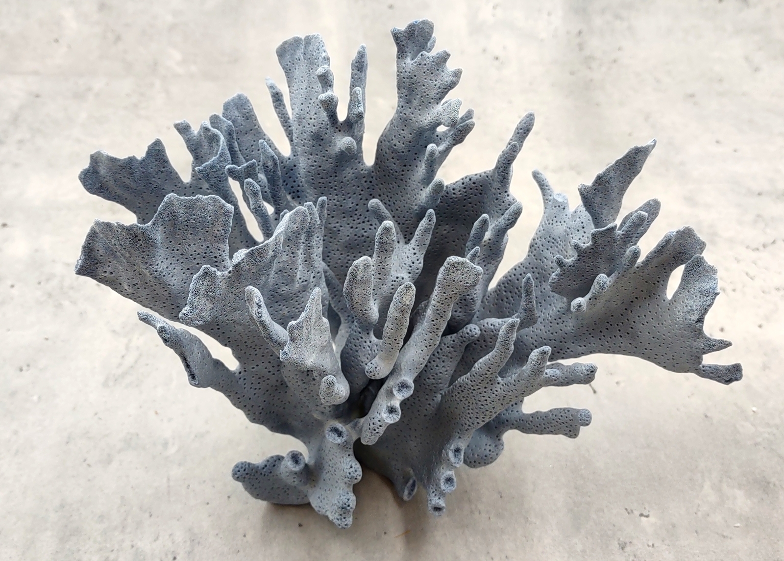 Natural Blue Ridge Coral Cluster (1 coral approx. 6.5-7.5+ inches)