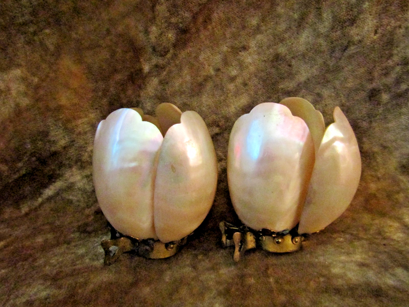 Antique Depose France  Mother Of Pearl Shell Pair of Clip On Shades