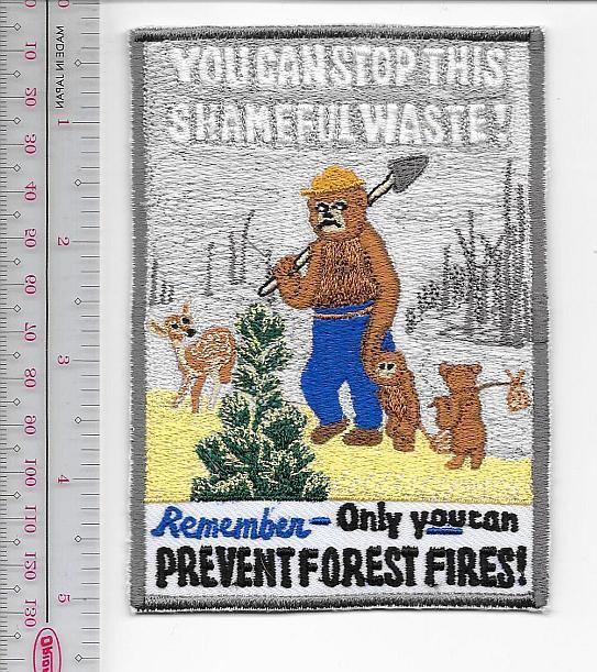 Smokey the Bear USFS Smokey says Remember You Can Stop This Shameful Waste