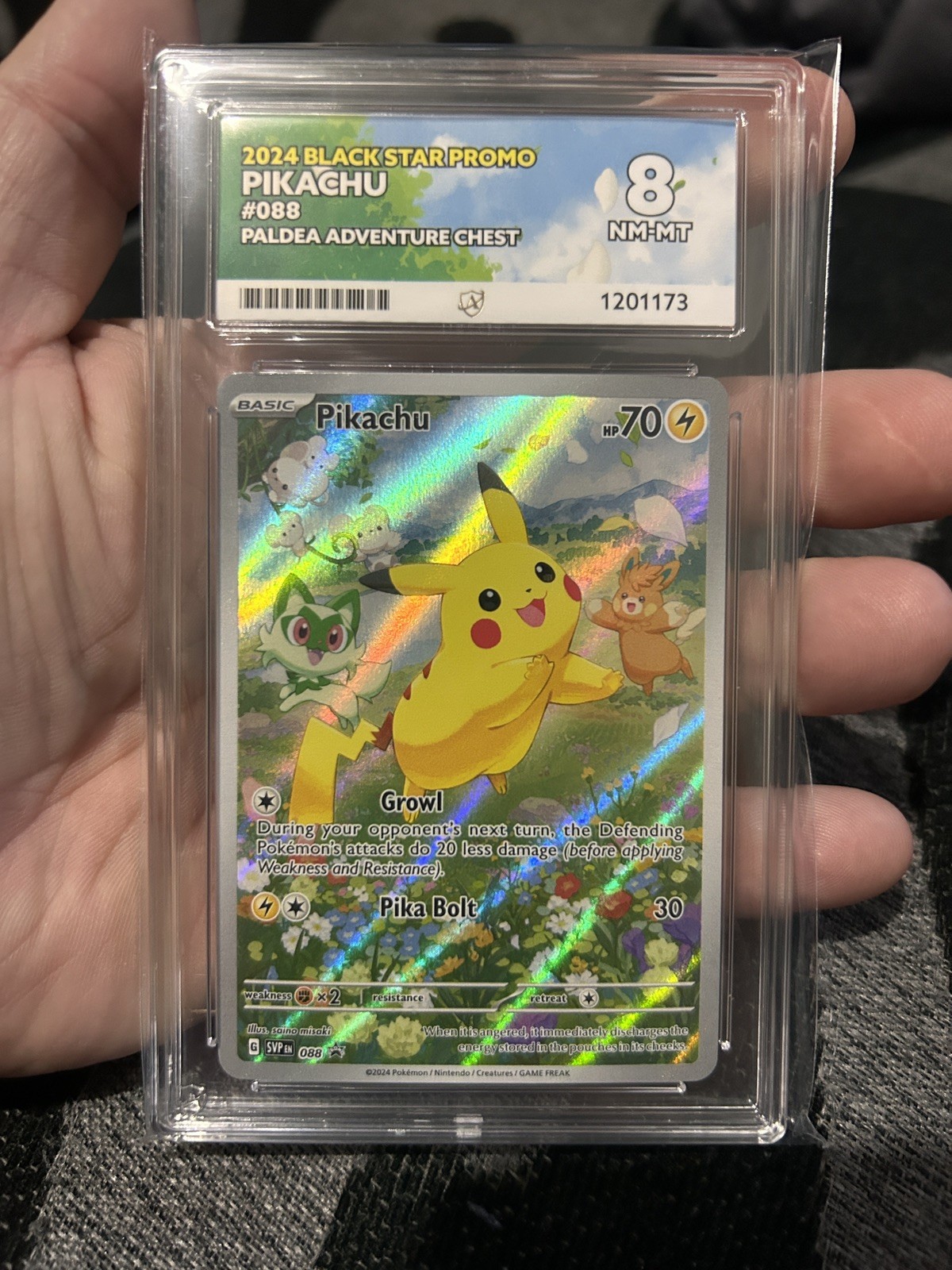 2024 POKEMON SVP 088  BLACK STAR PROMO PALDEA ADVENTURE PIKACHU ACE 8 CARD