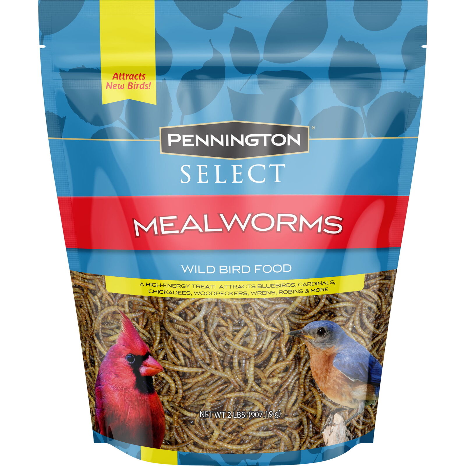 Pennington Mealworms, Bluebird and Wild Bird Food, 2 lb. Bag, 1 Pack, Dry