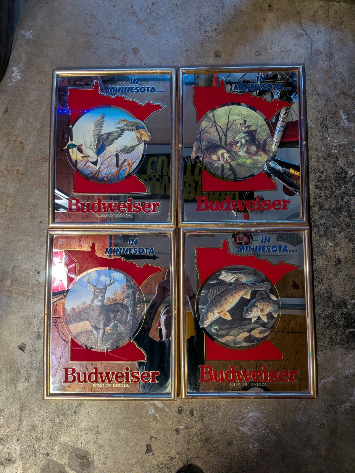 Budweiser 