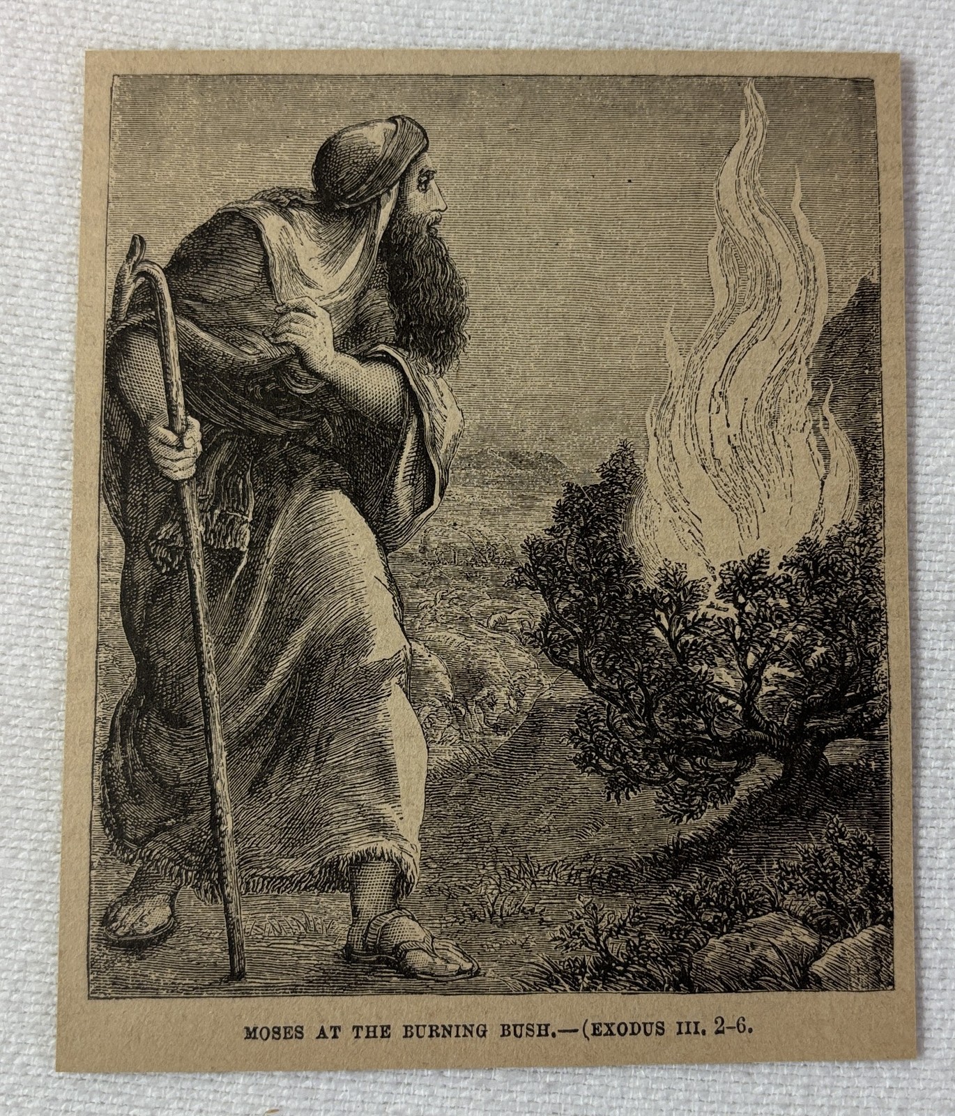 1885 magazine engraving ~ MOSES AT THE BURNING BUSH ~ Exodus III 2-6