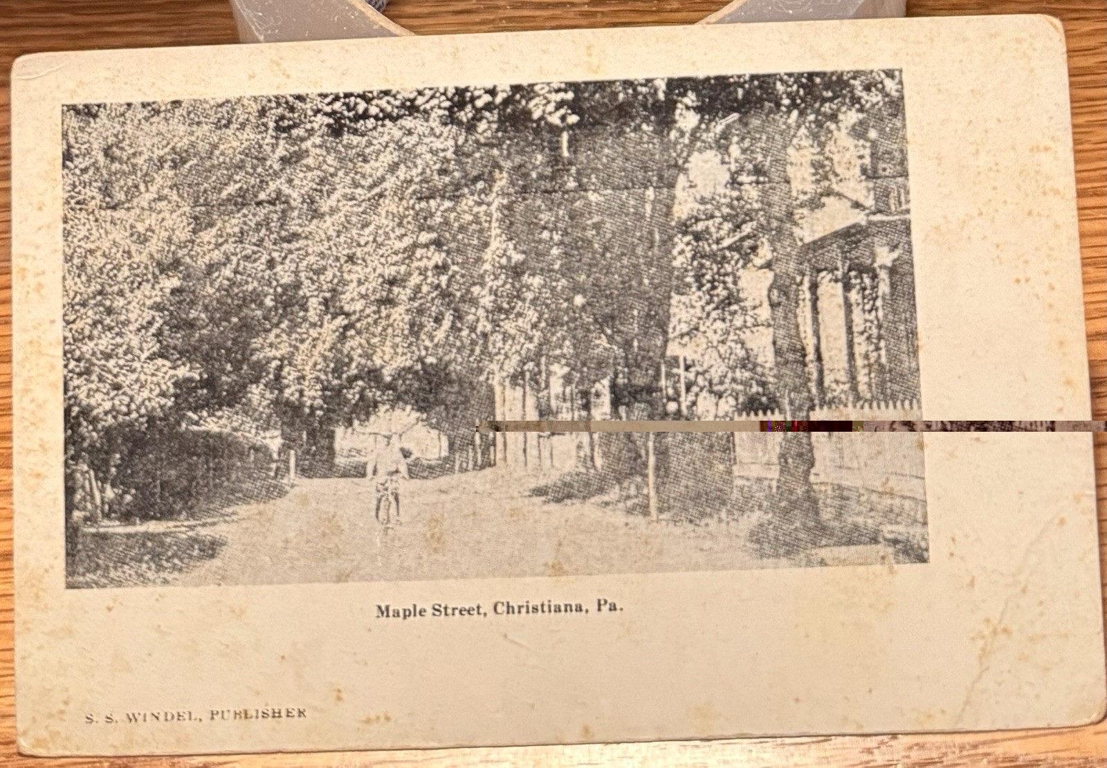 1905 Christiana Pa, Maple Street, S. S. Windel Pub., Lancaster County, Postcard