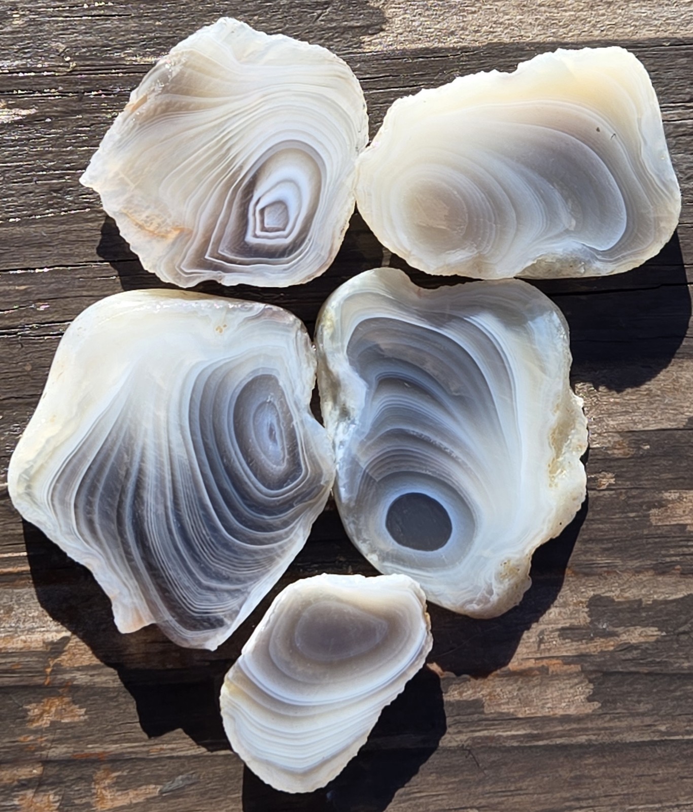 Botswana Agate Cut In Five Slices - Rough, Natural, Not Polished Botswana Agate Cut In Five Slices - Rough, Natural, Not Polished