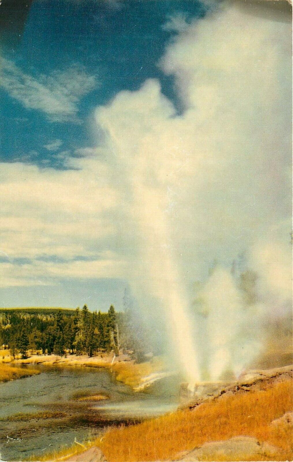 Yellowstone National Park Wyoming WY Riverside Geyser Firehole River Postcard
